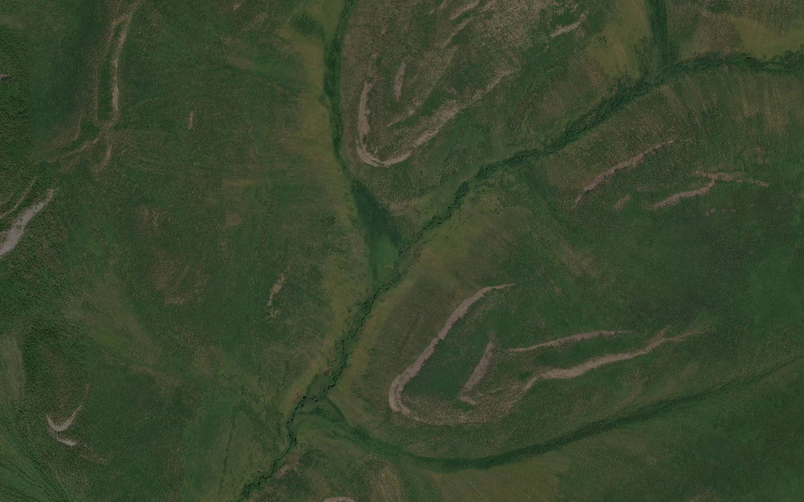 Tumannyy