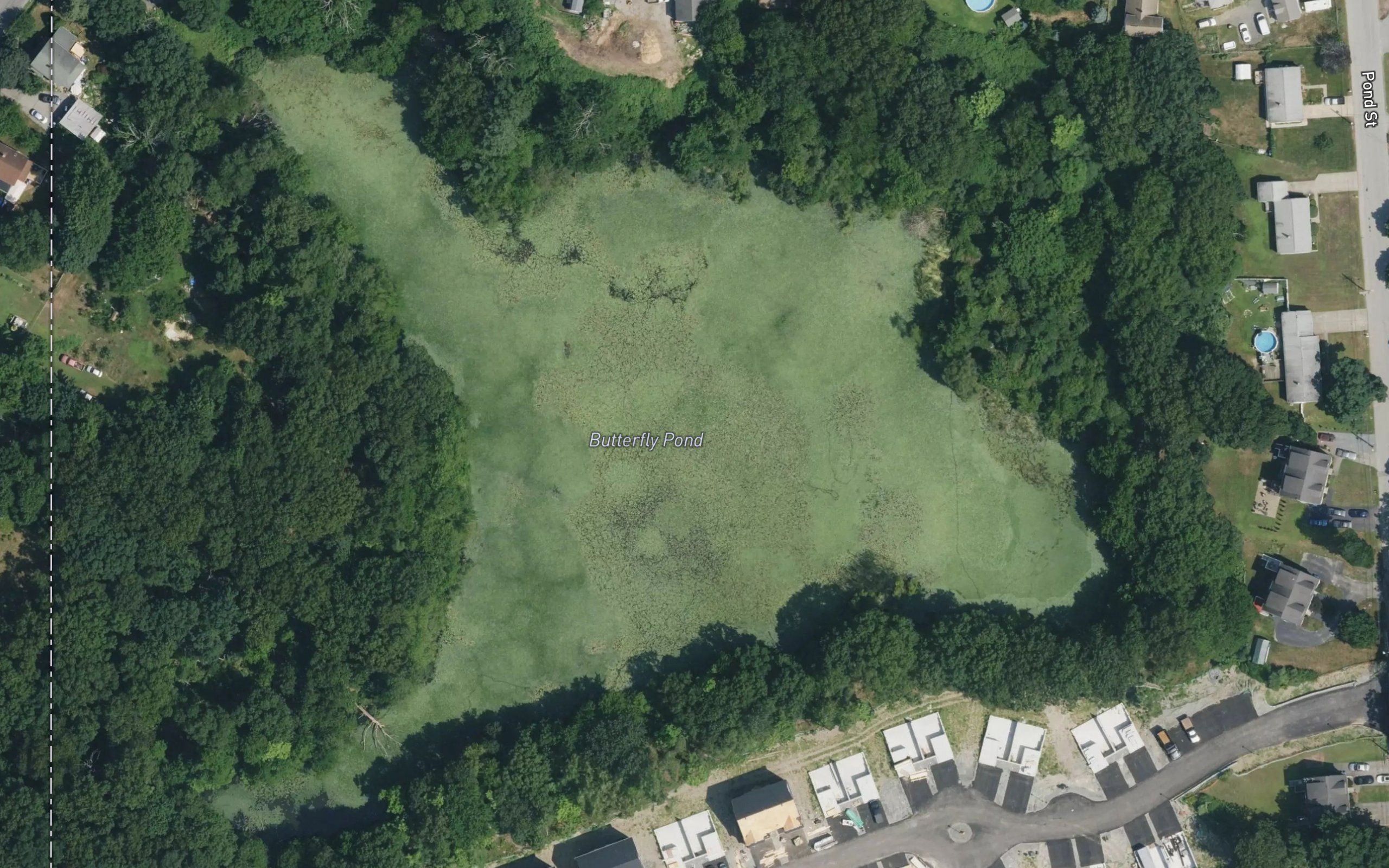 Little Cranberry Pond