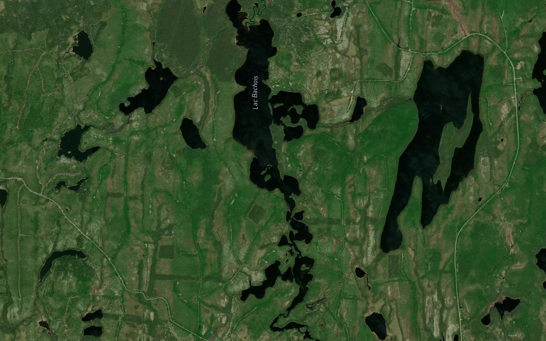 Satellite map of the Lac Bachois