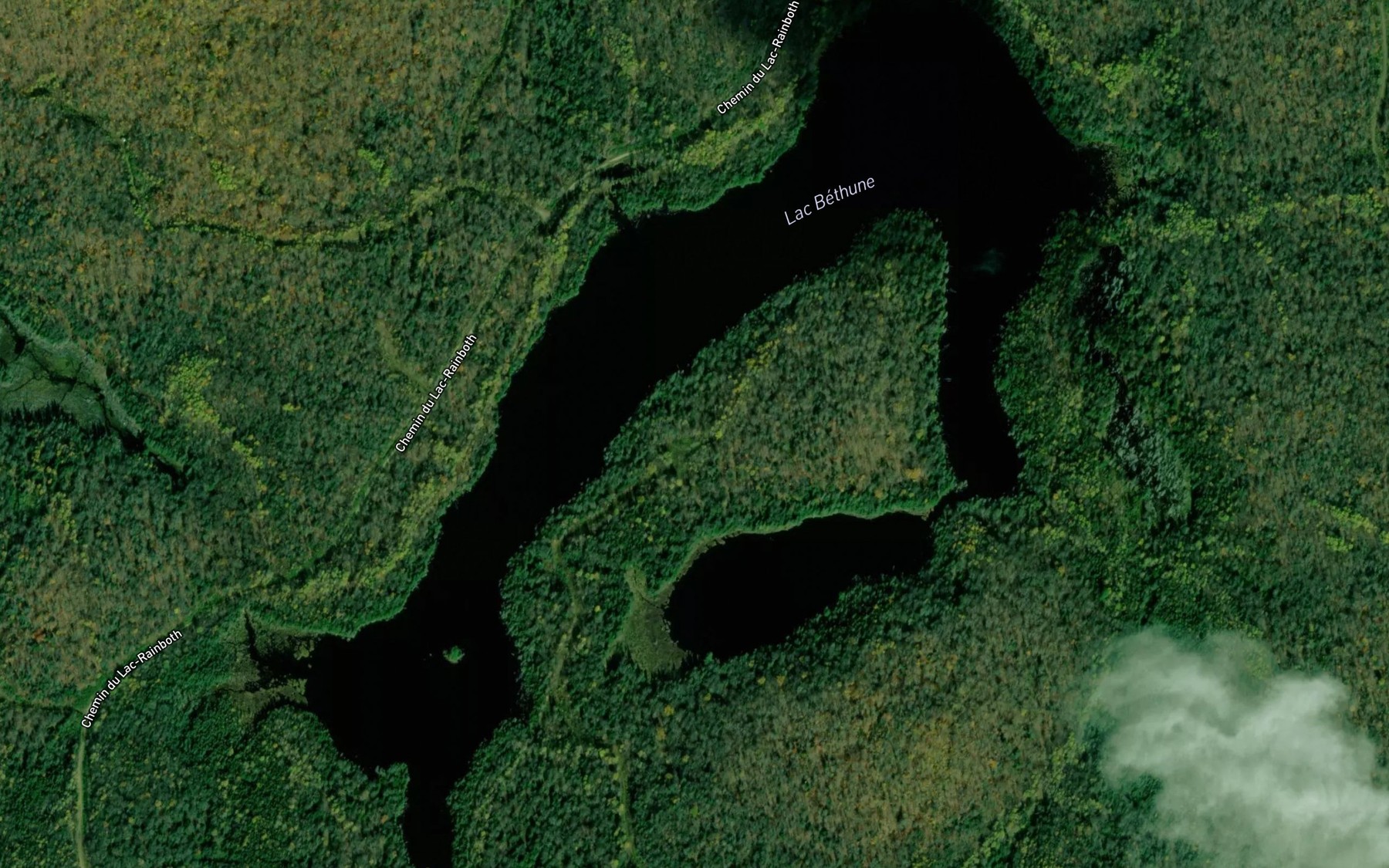 Satellite map of the Lac Bethune