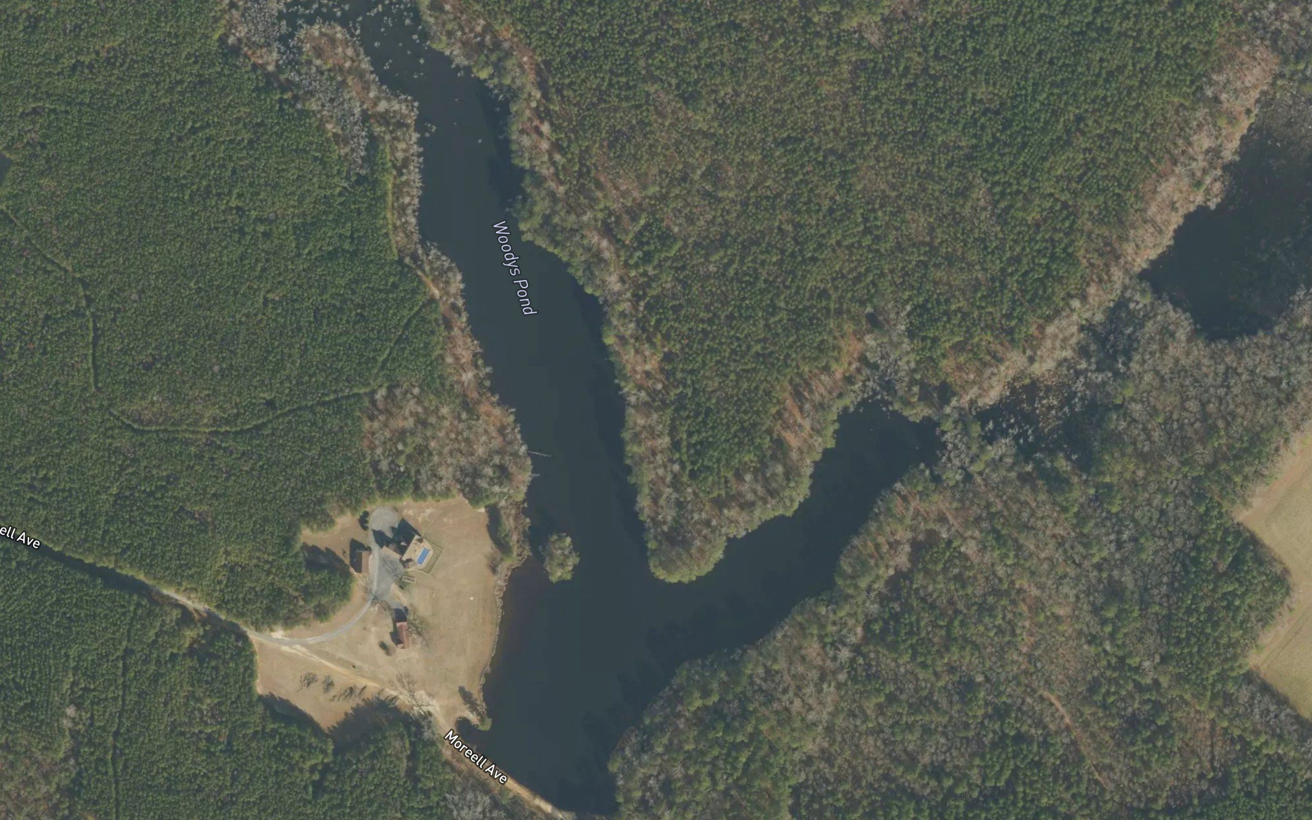 Woodys Pond