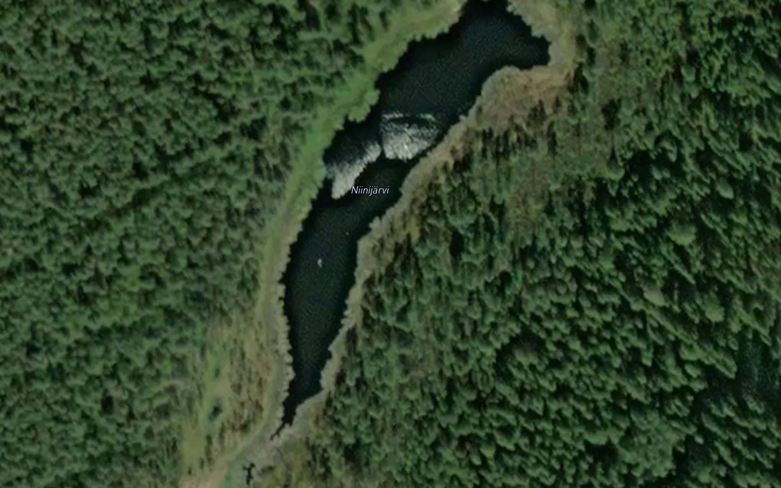Niinijarvi