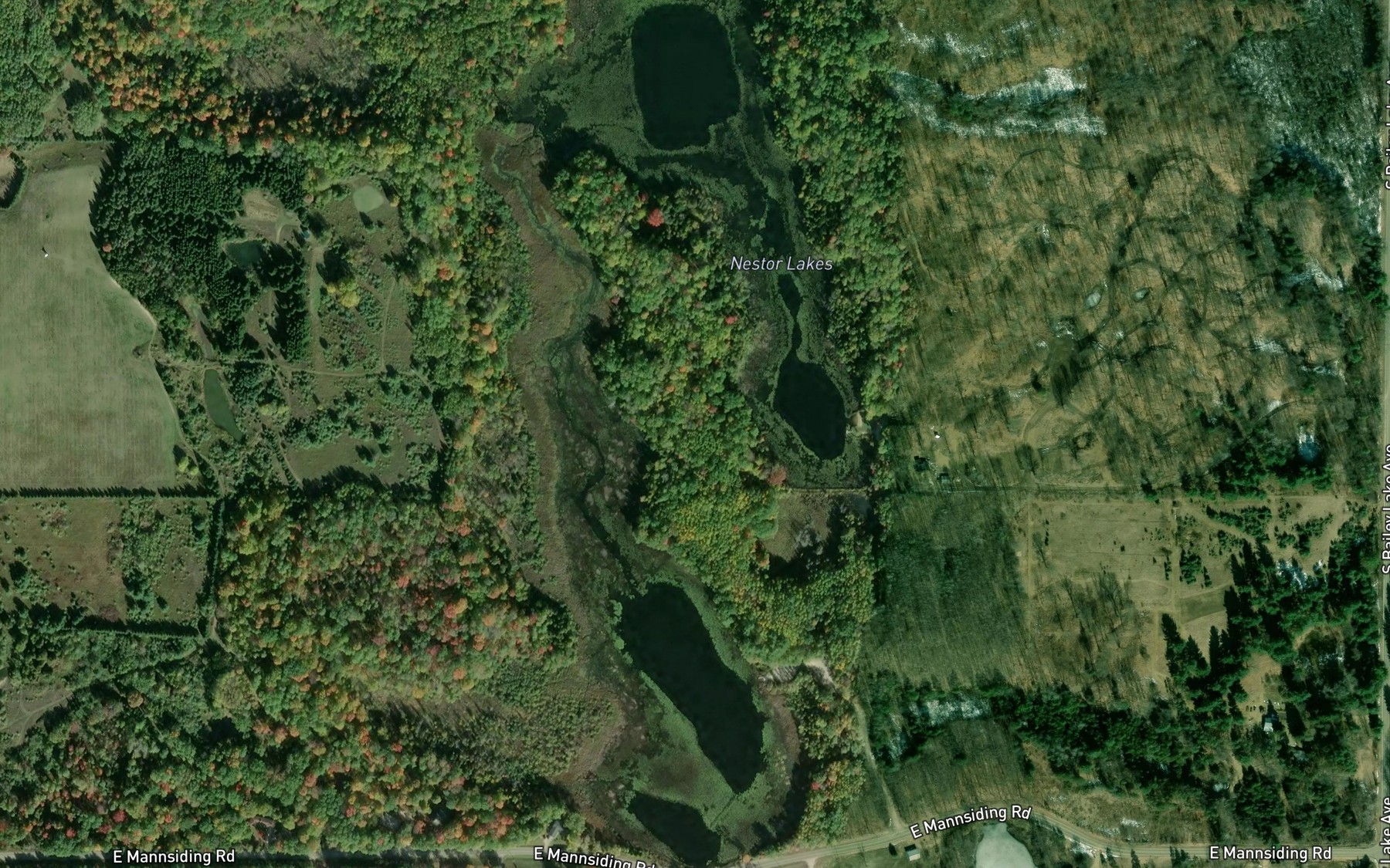Satellite map of the Nestor Lakes