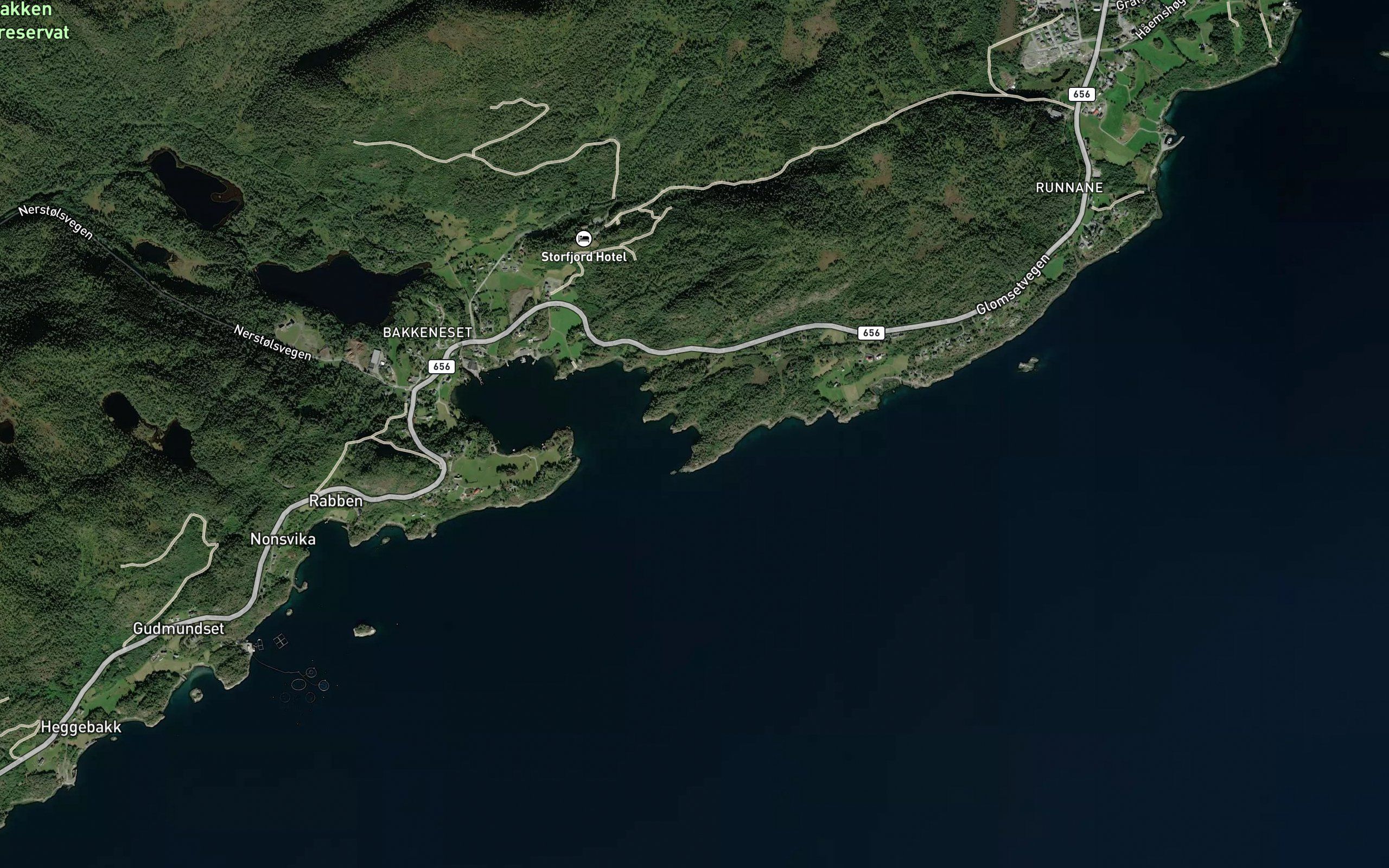 Juvika