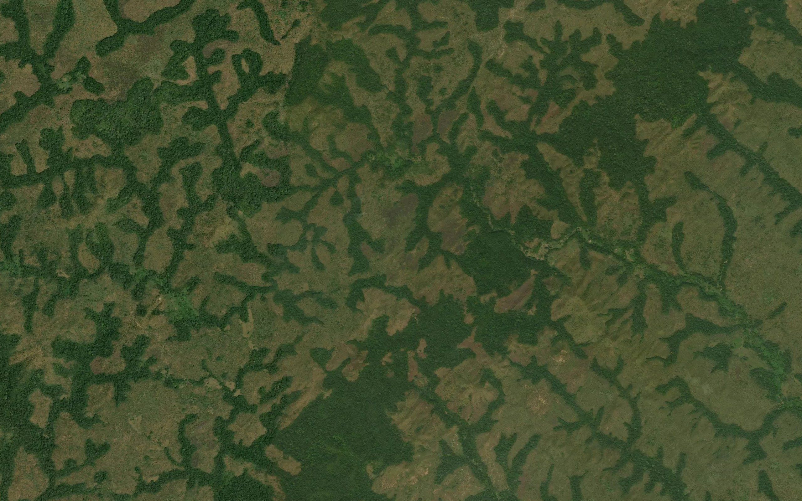 Beliloko