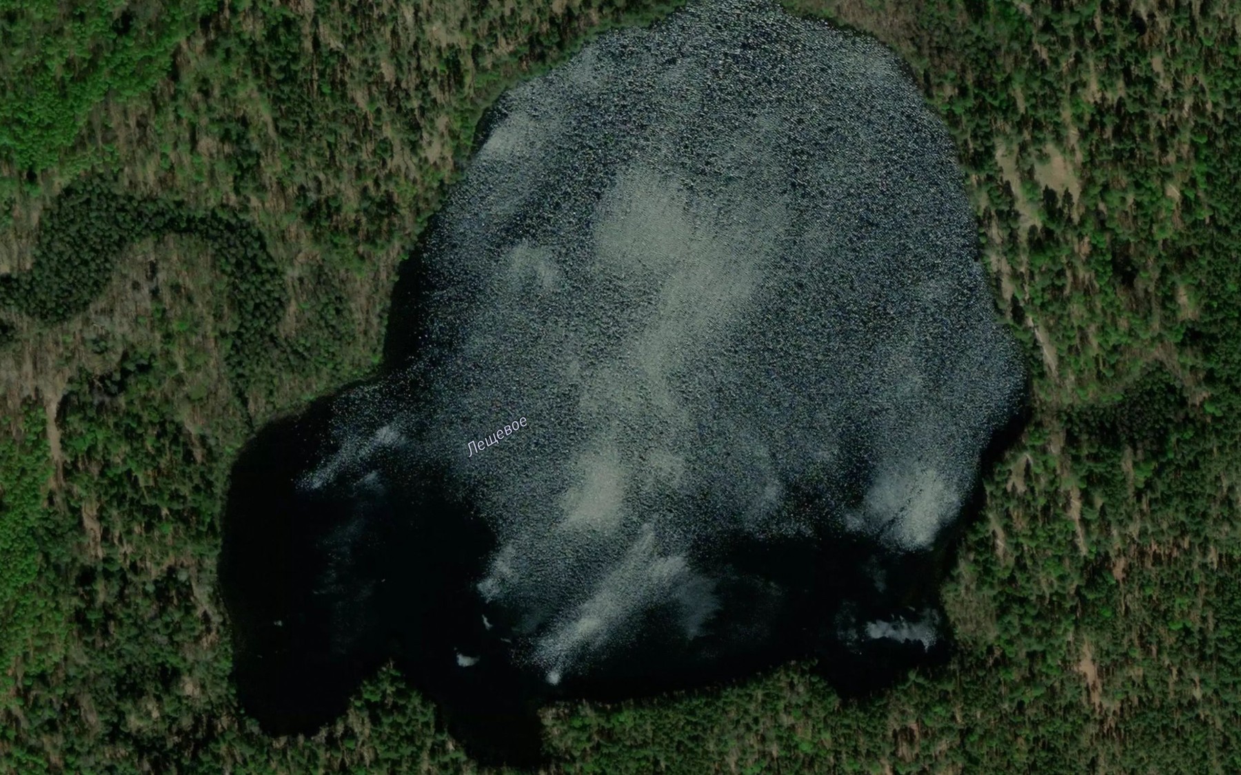Satellite map of the Ozero Leshchevoye