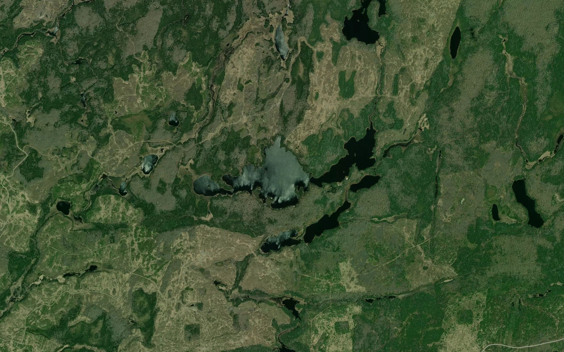 Satellite map of the Fitzpatrick Lake