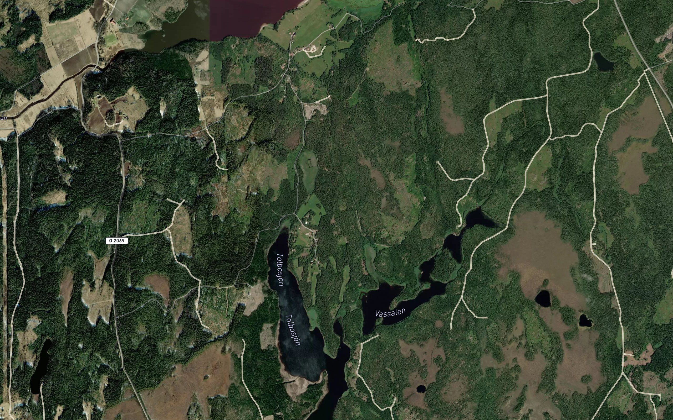 Vassalen
