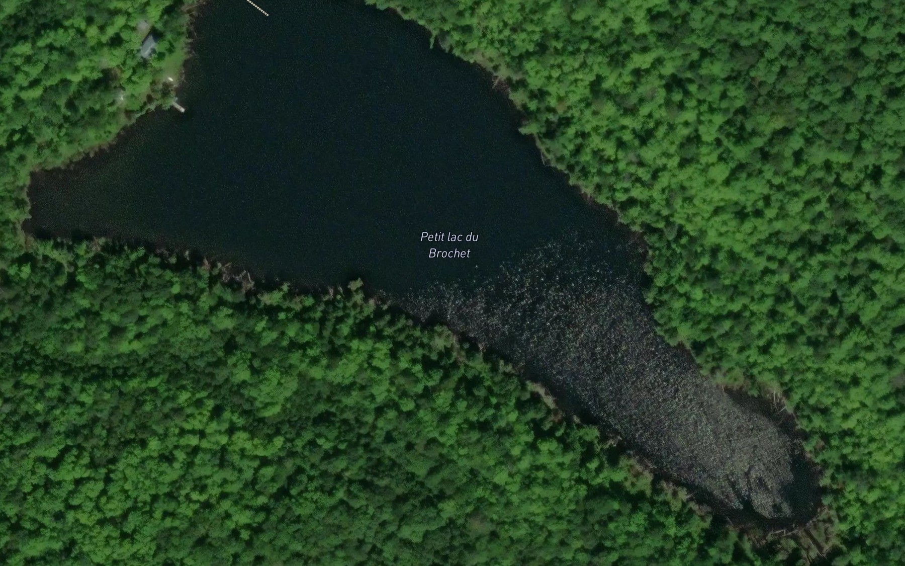Satellite map of the Petit lac du Brochet