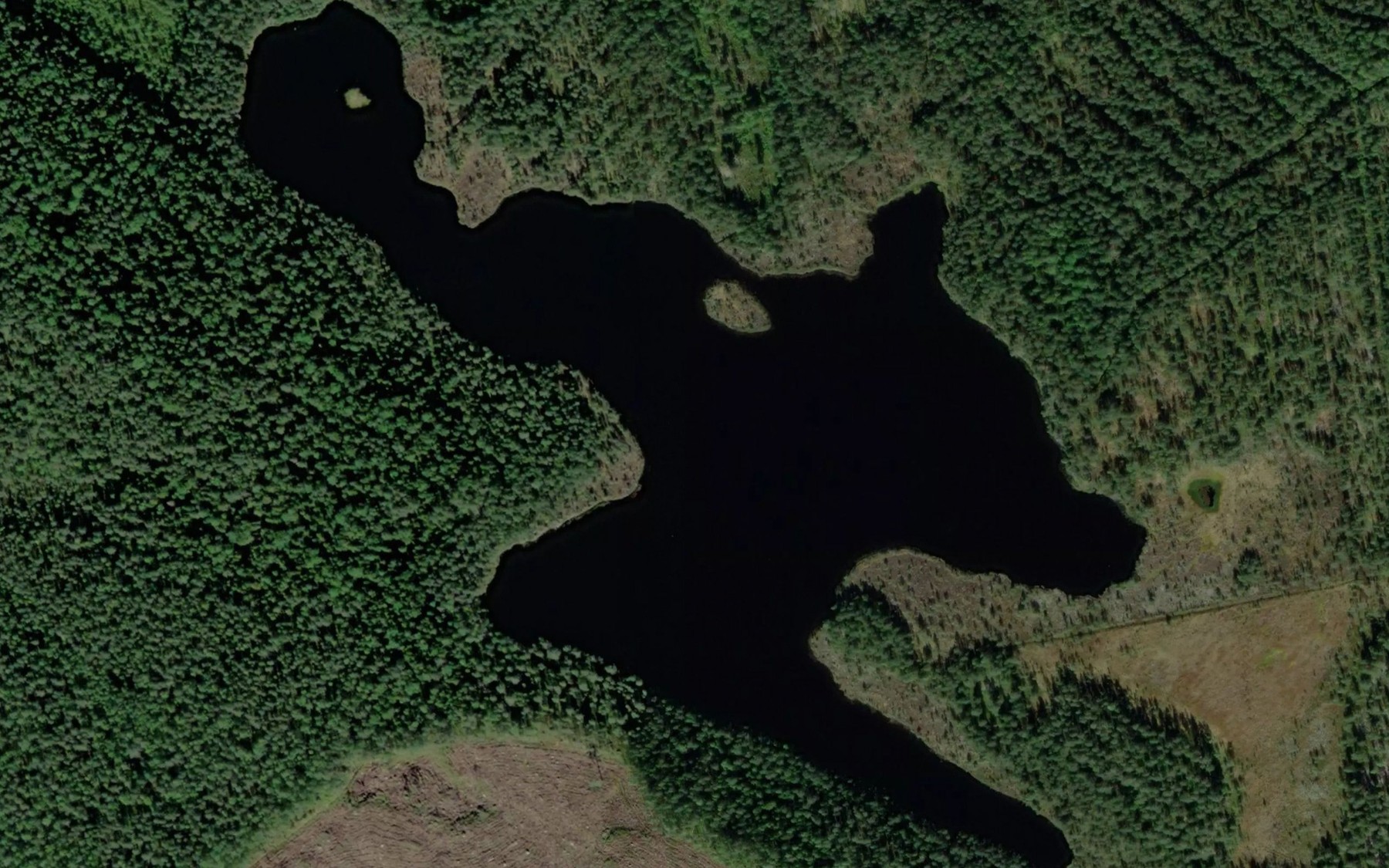 Satellite map of the Kolmisoppinen