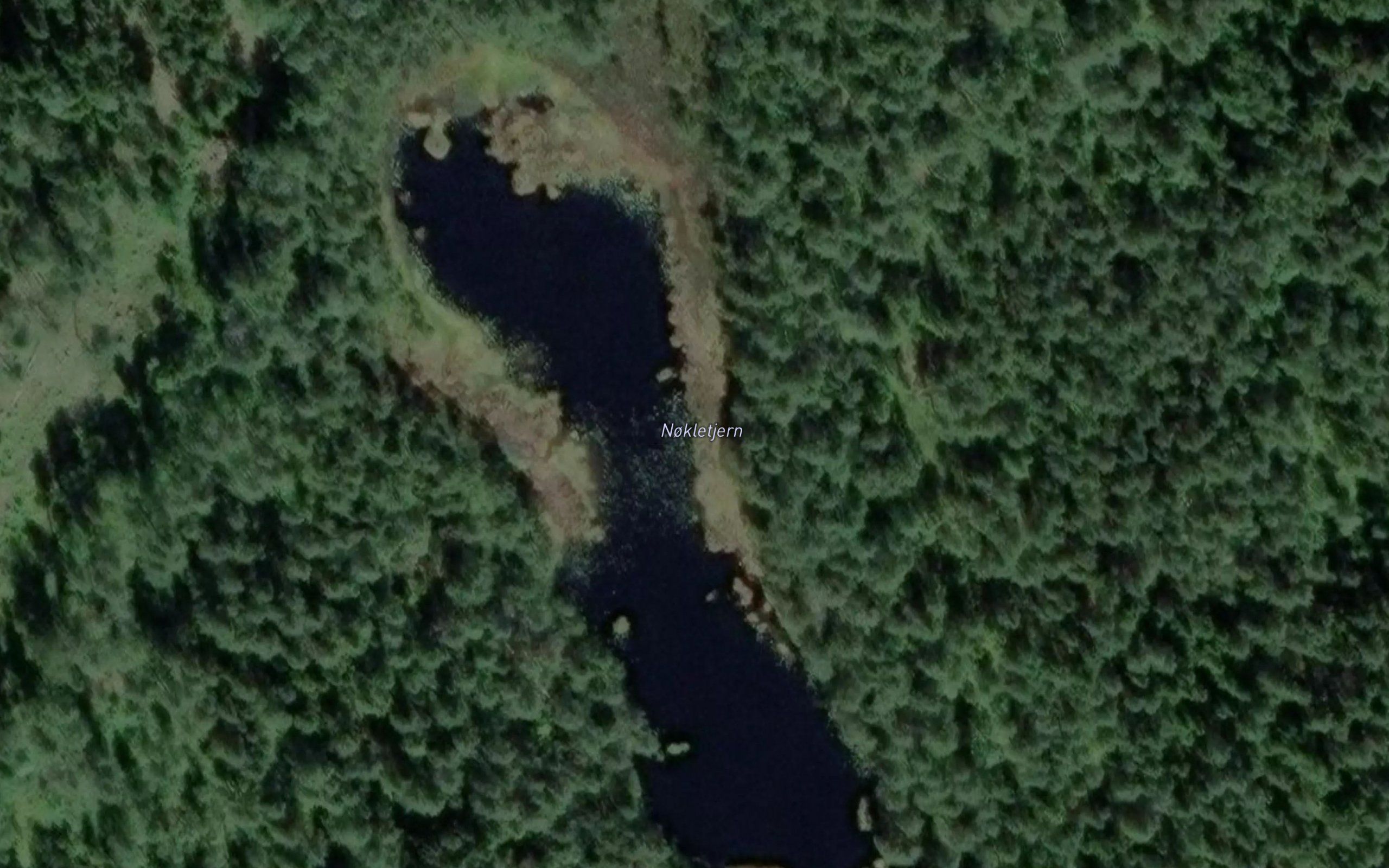 Nokletjern