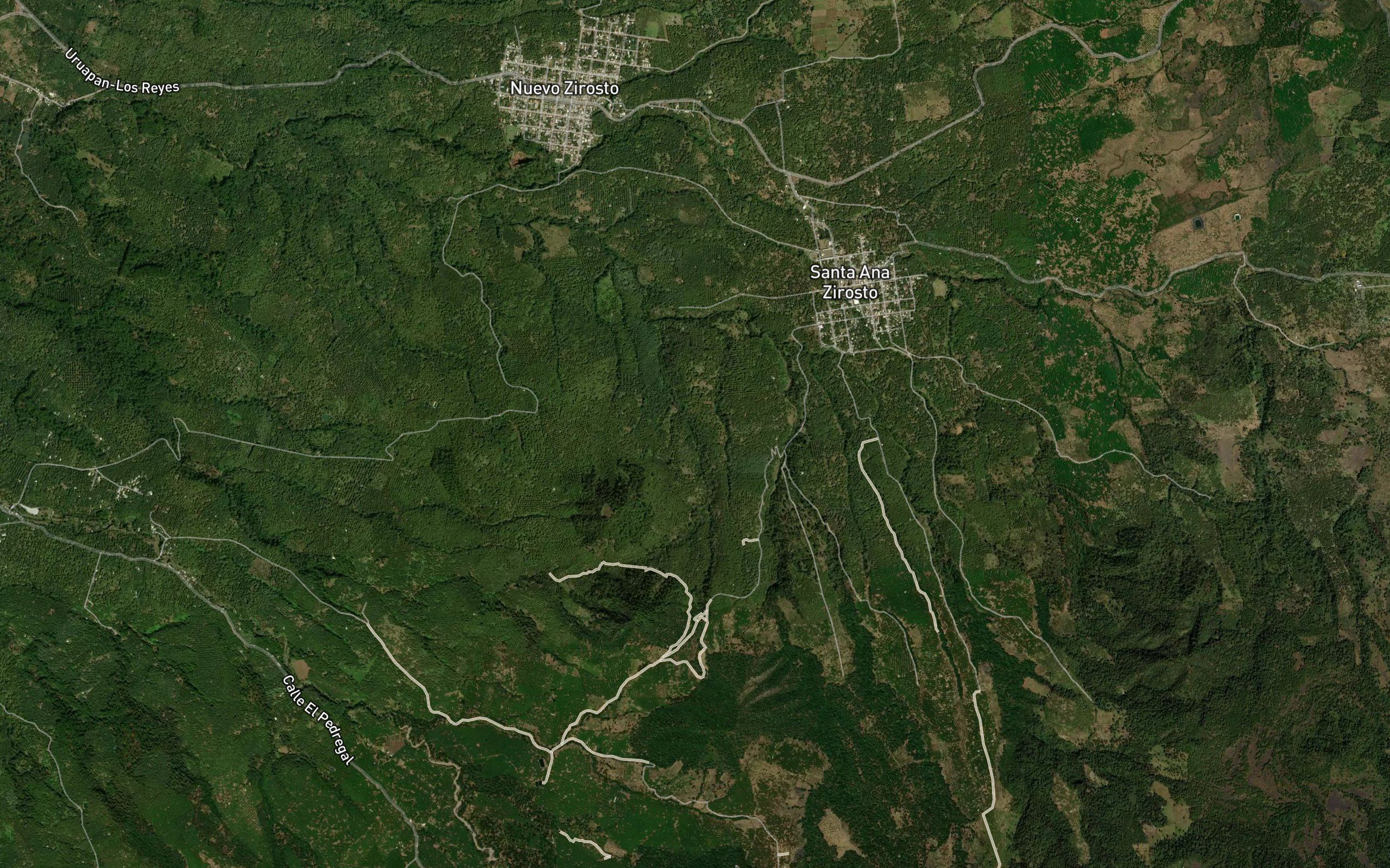 Charapancahuaro
