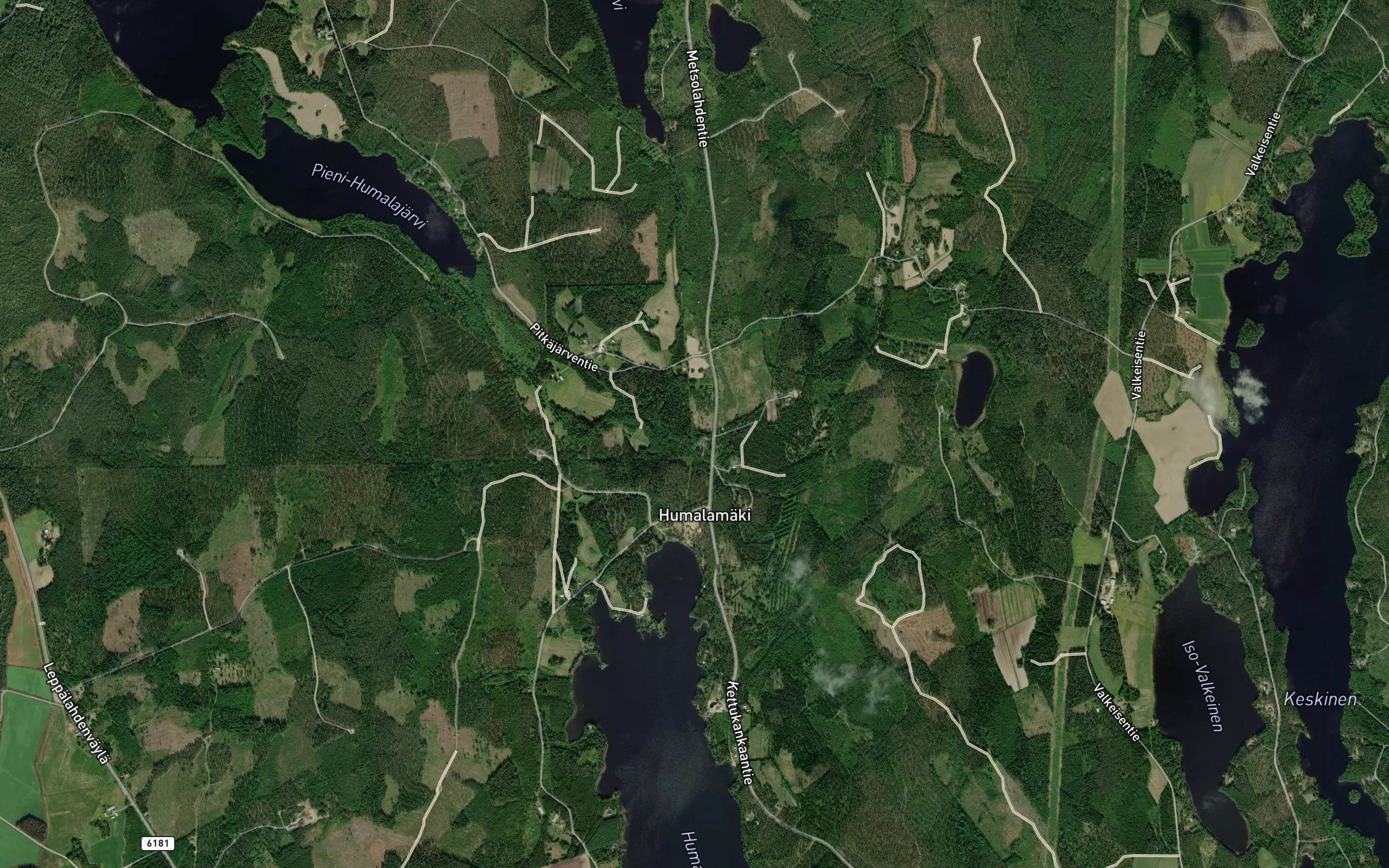 Hoyhenisjoki