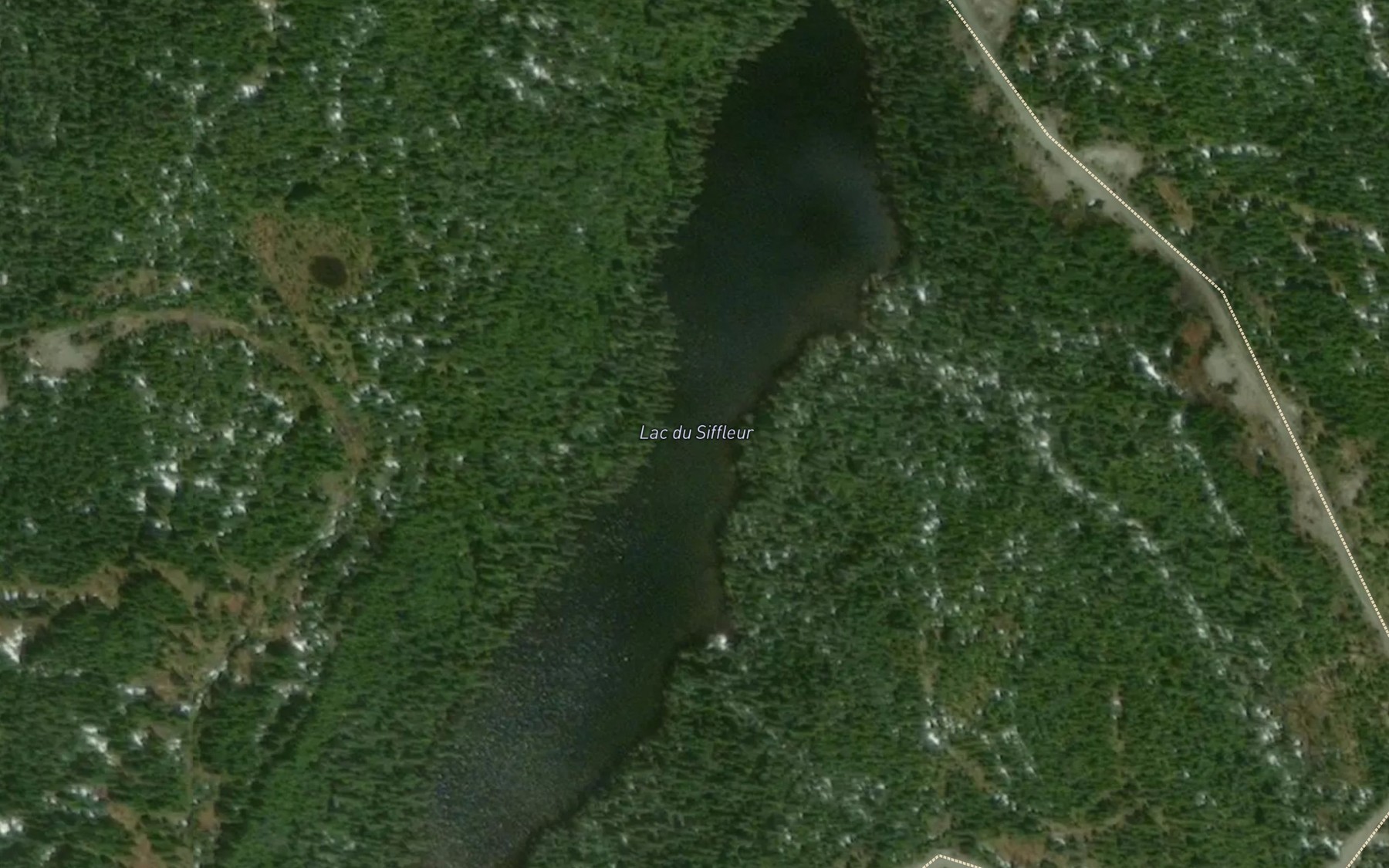 Satellite map of the Lac du Siffleur