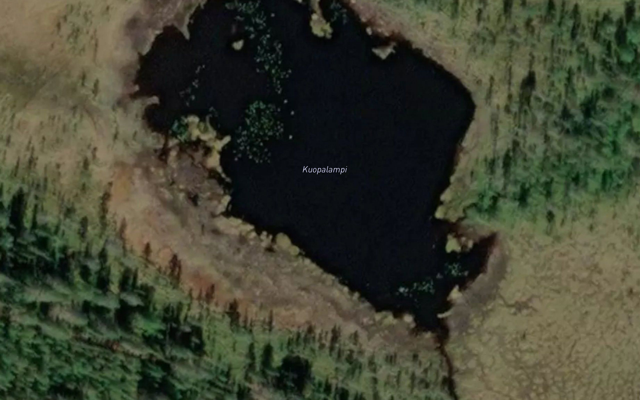 Kuoppalampi
