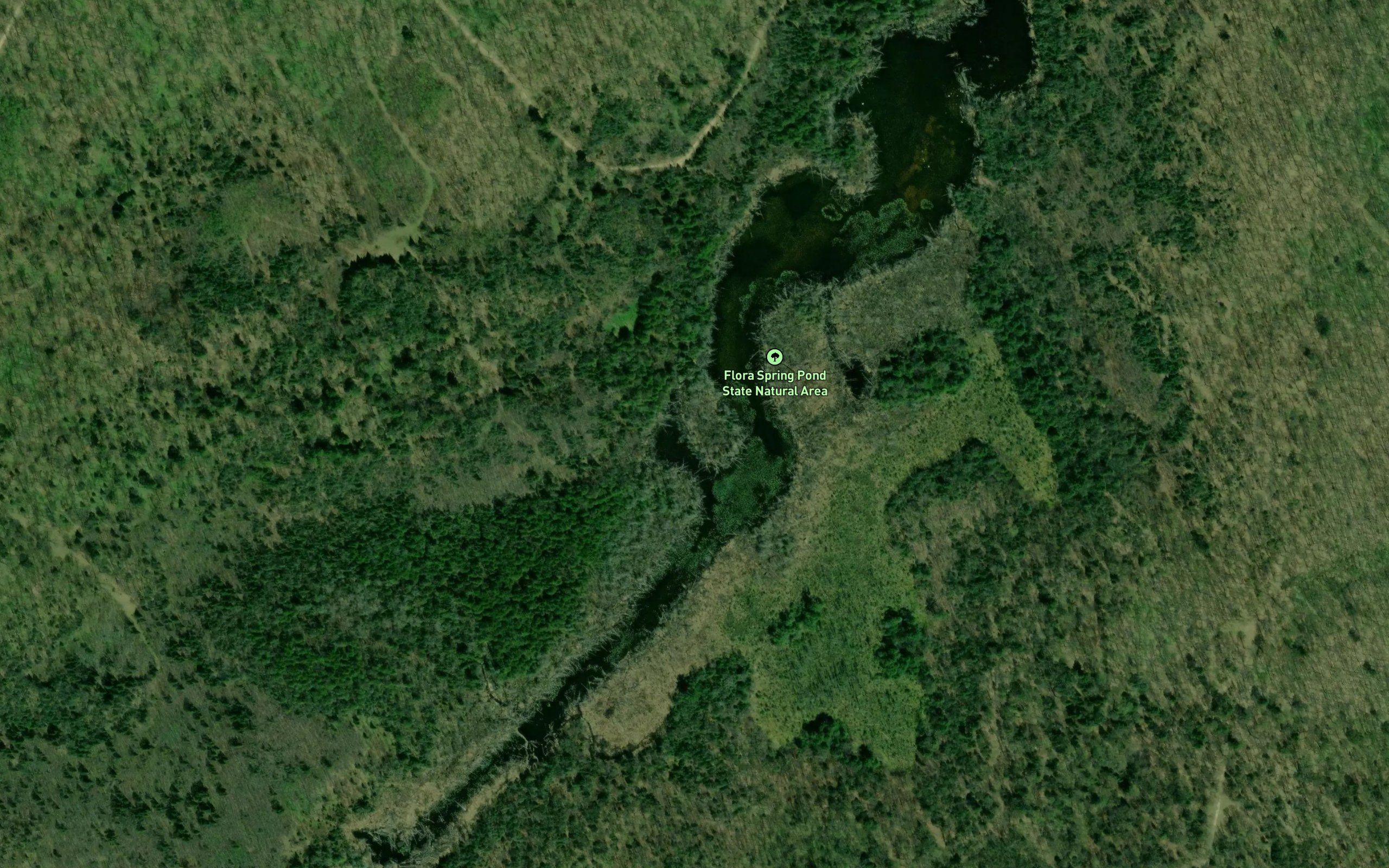 Flora Lake