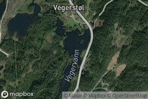 Vegervann