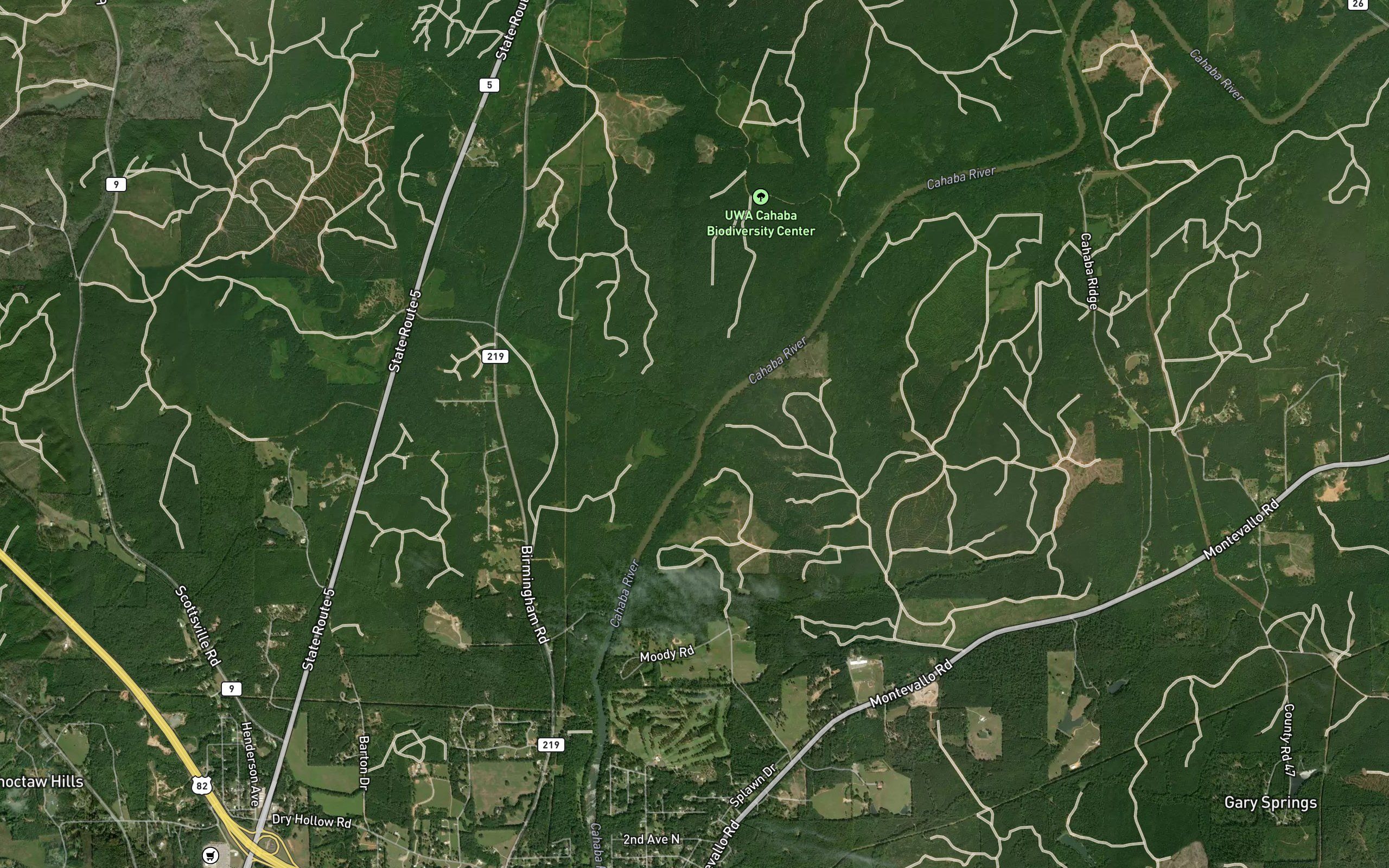 Schultz Creek