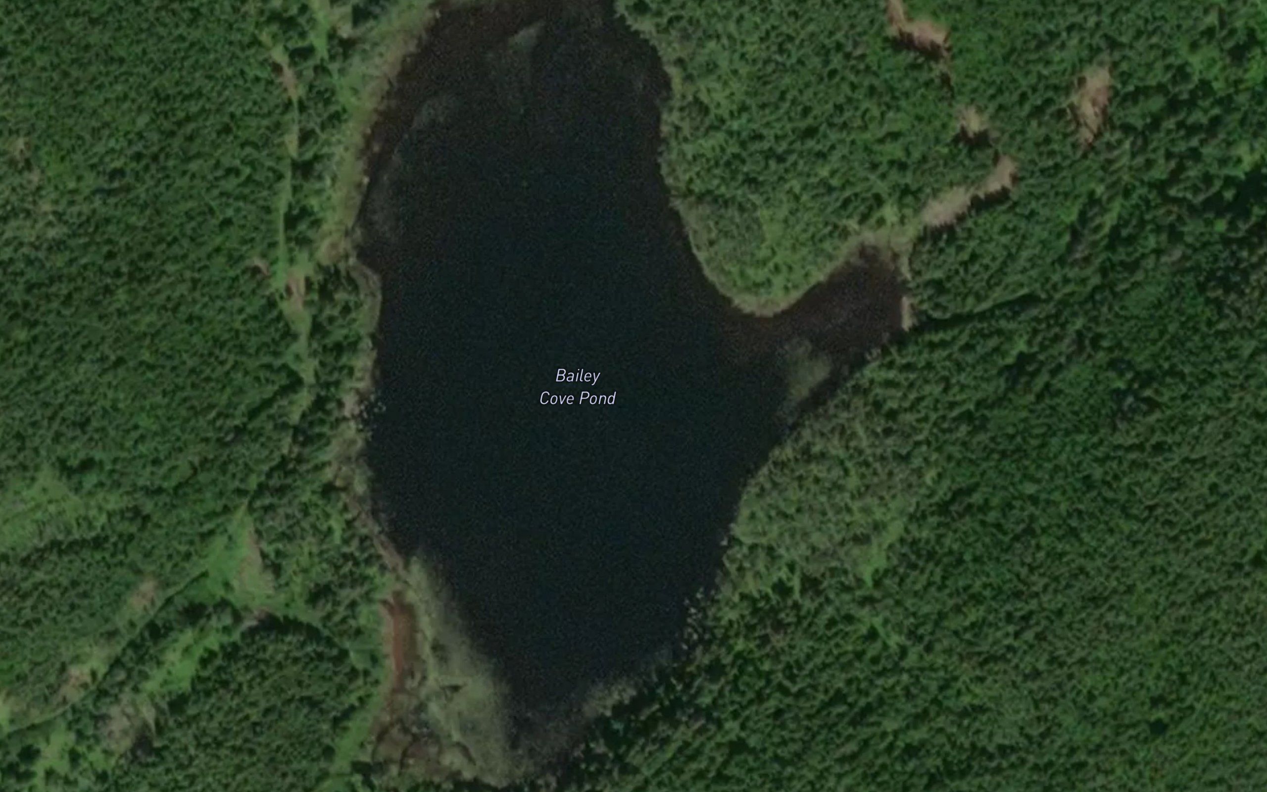 Bailey Cove Pond