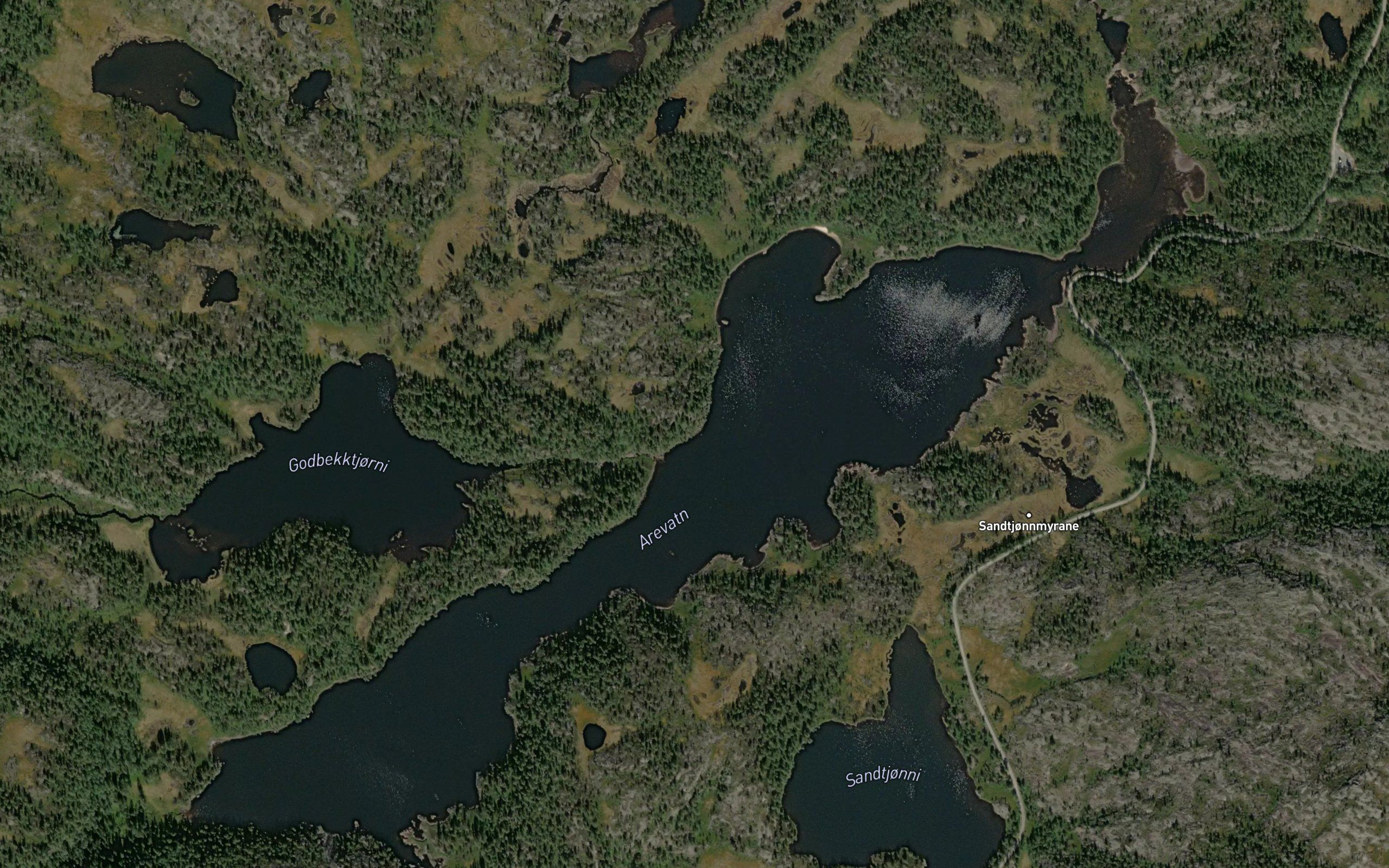 Arevatn