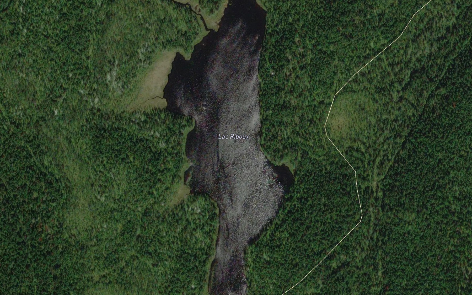 Satellite map of the Lac Riboux