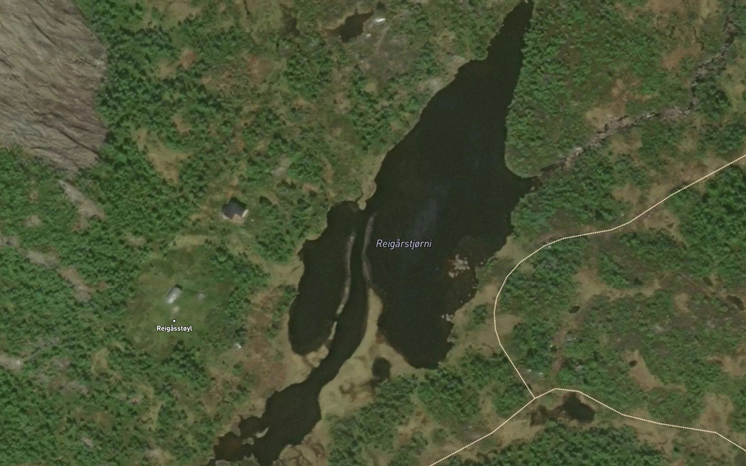 Reigastjorn