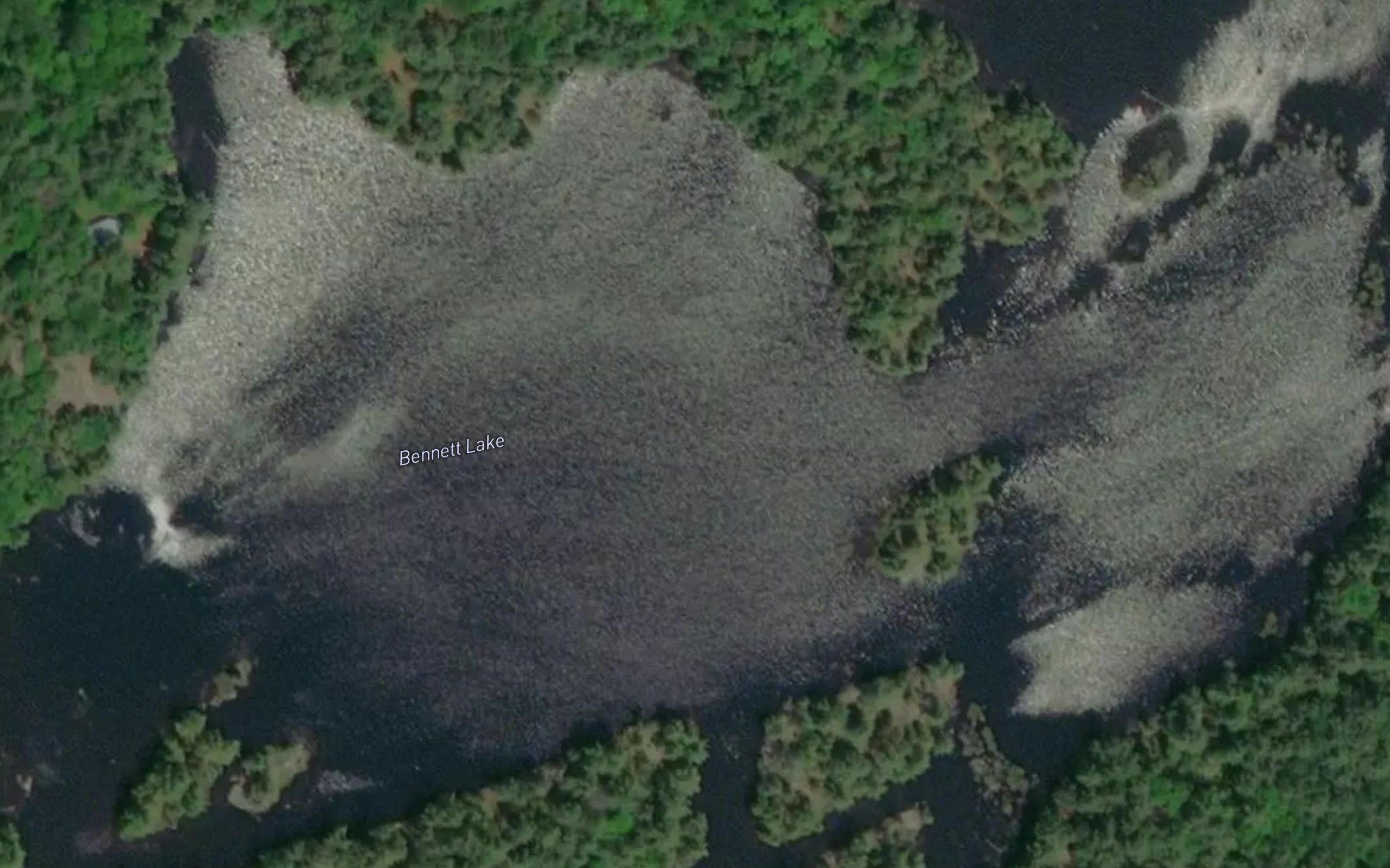 Bennett Lake