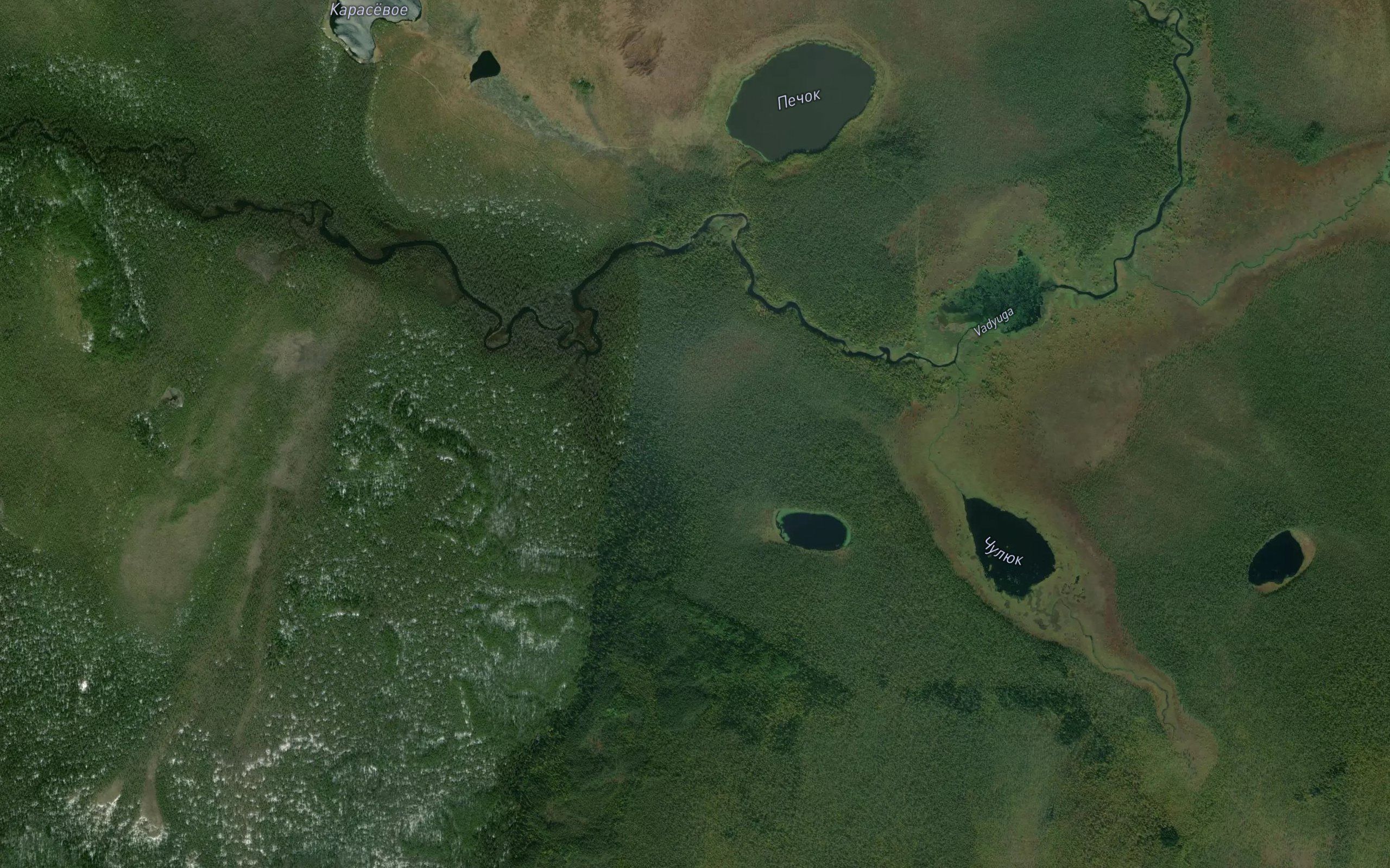 Letnyaya