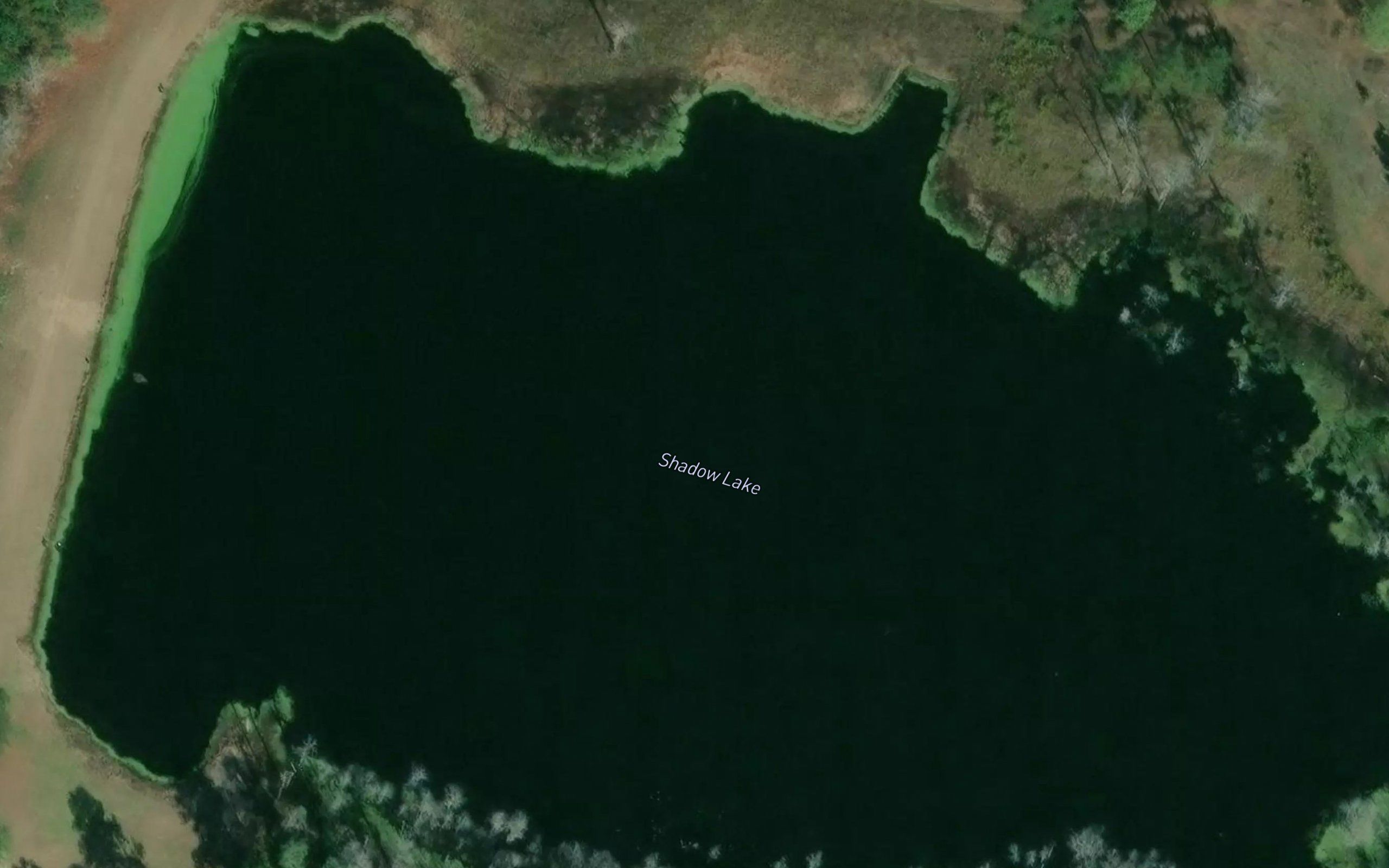 Shadow Lake