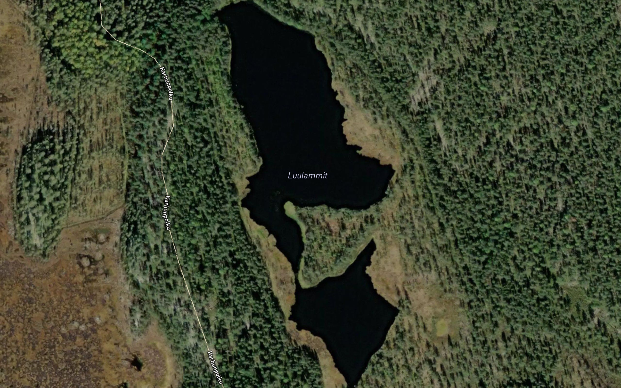 Luulammit