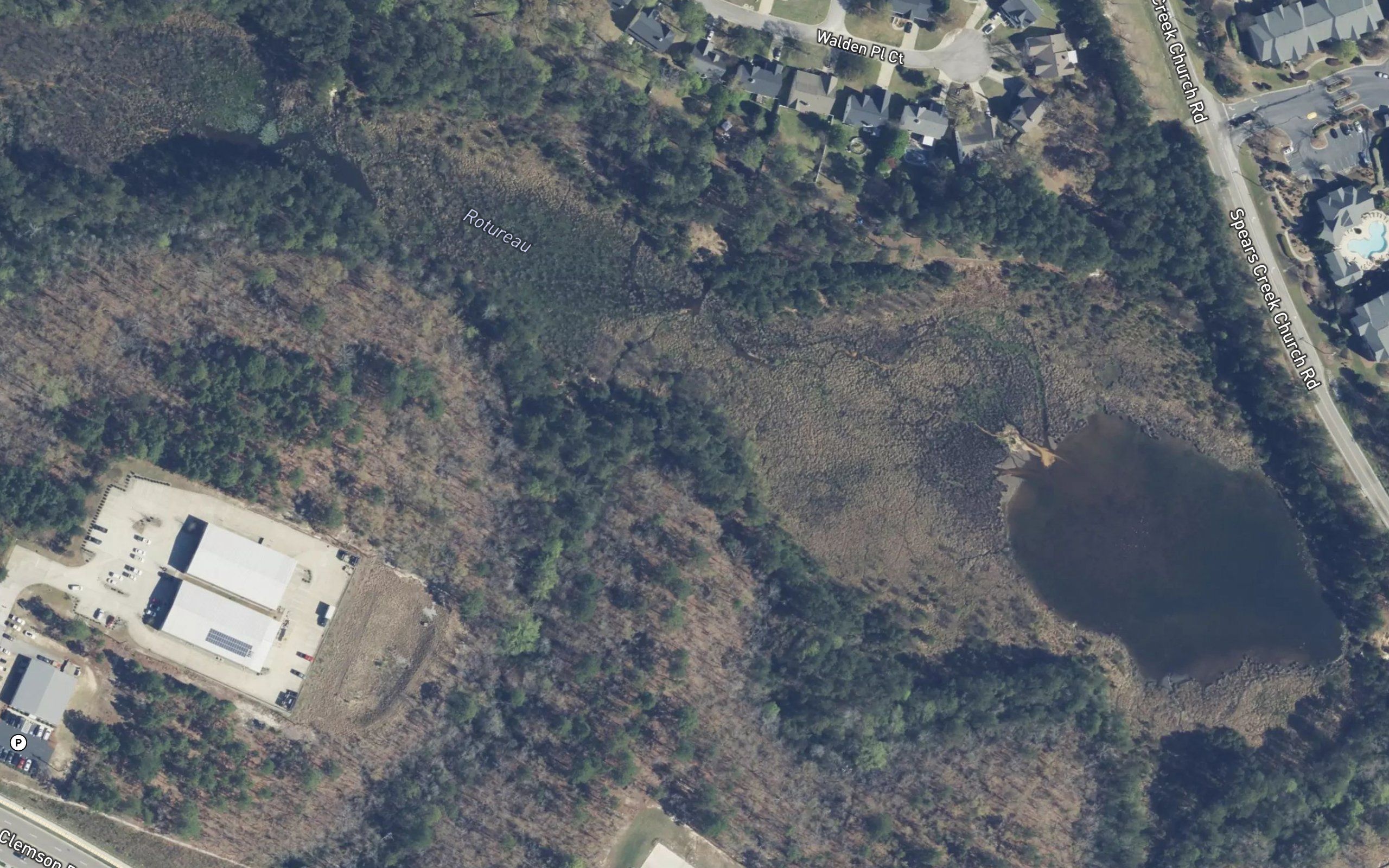 Rotureau Lake