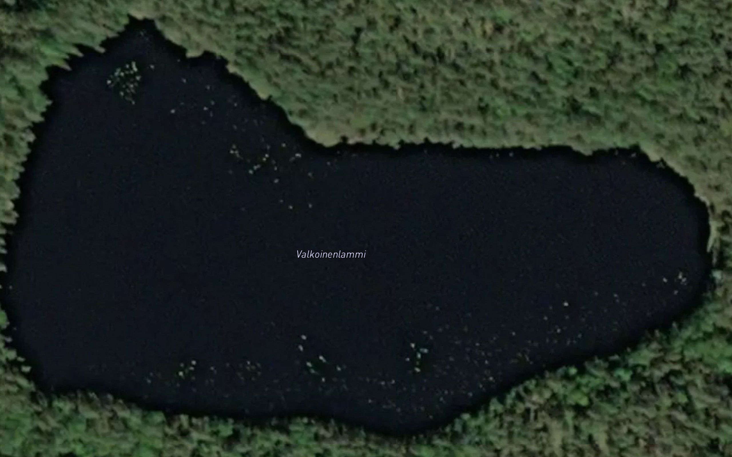 Valkoinenlammi