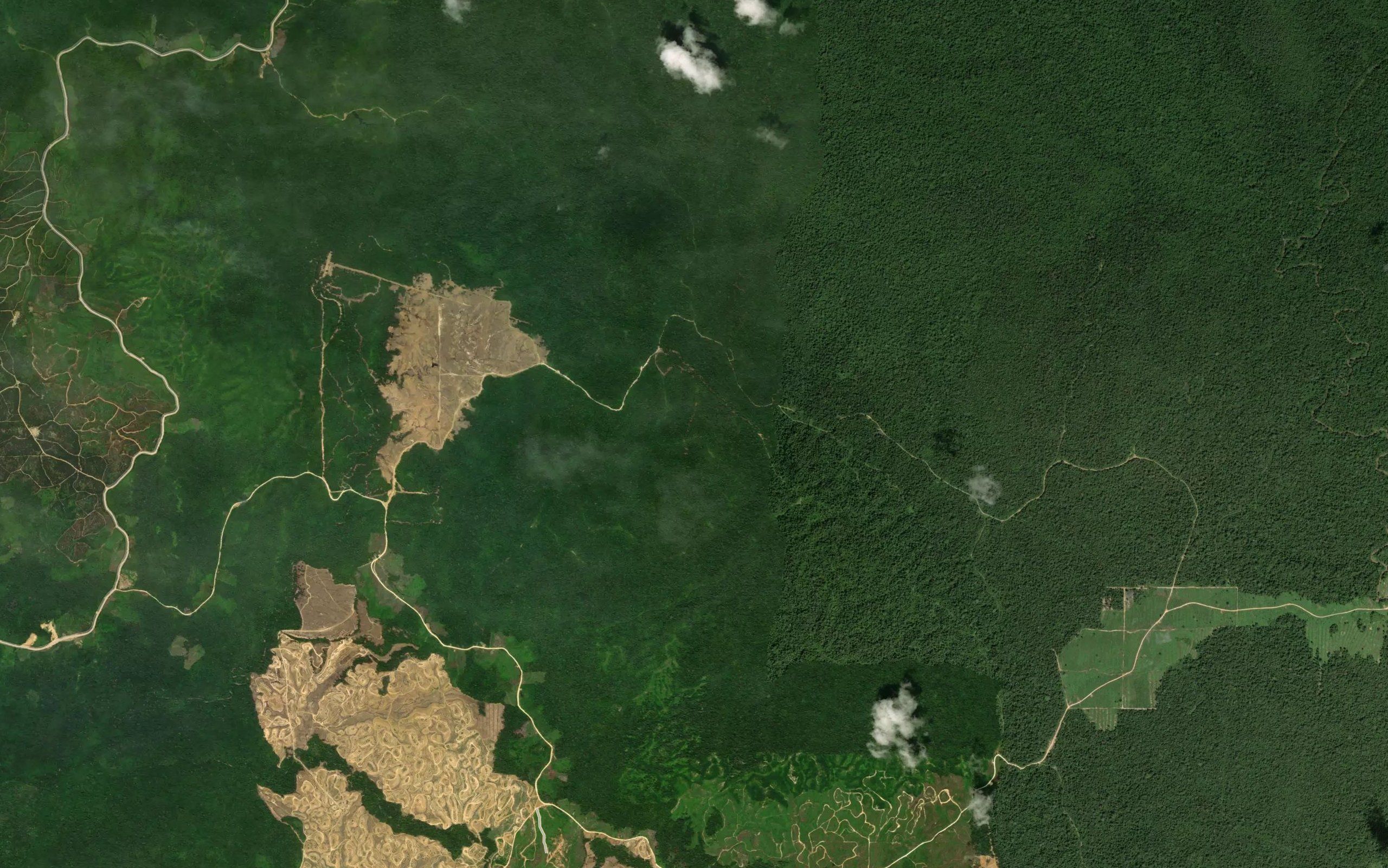 Sungai Binatang