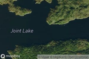 Joint Lake