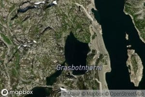 Grasbotntjorni