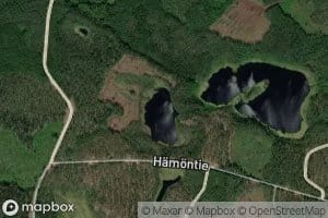 Hamonlammit