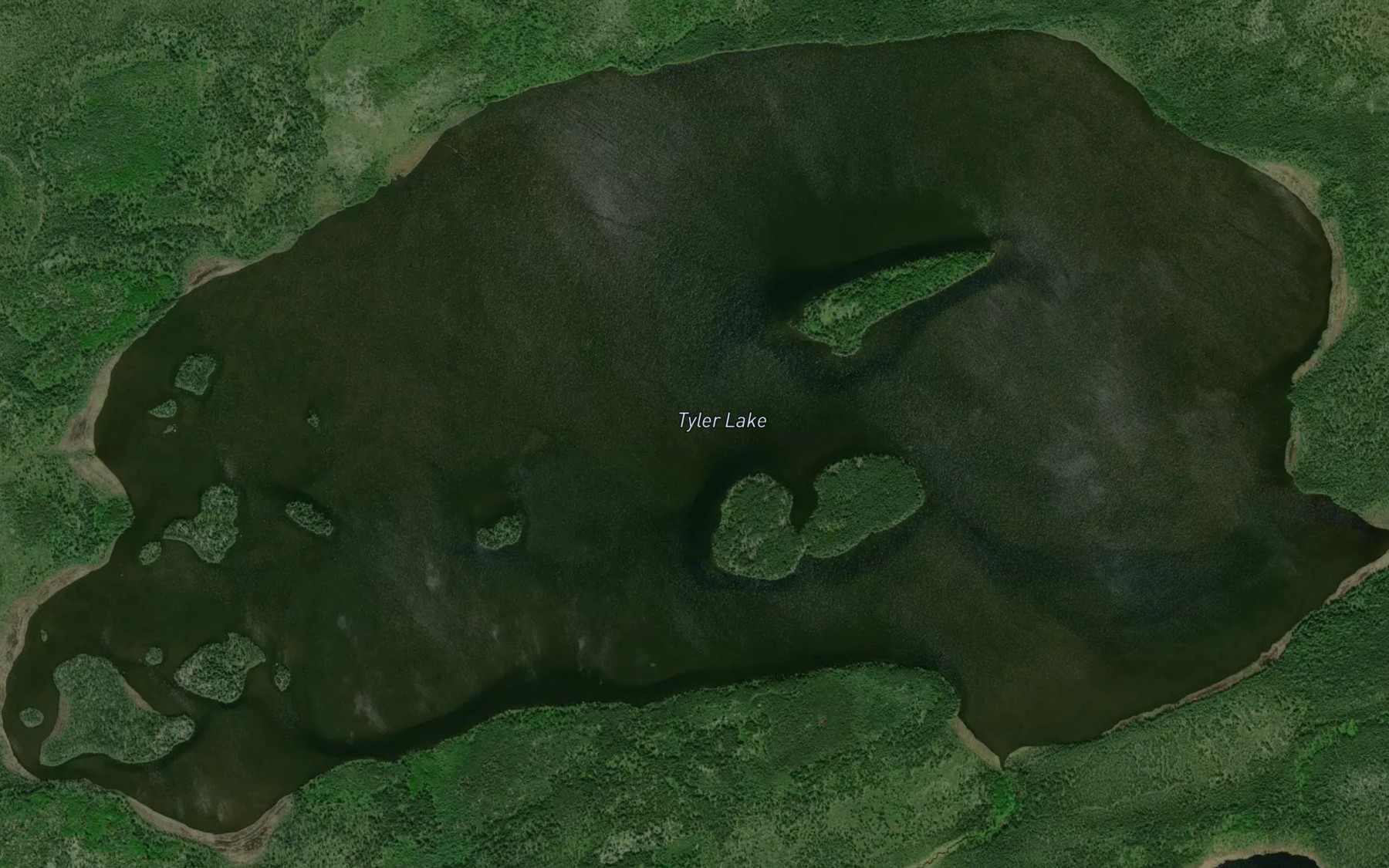 Satellite map of the Tyler Lake