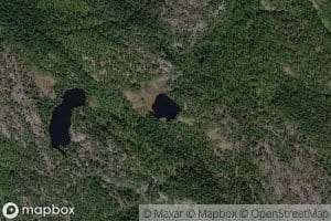 Lille Risasheitjenna