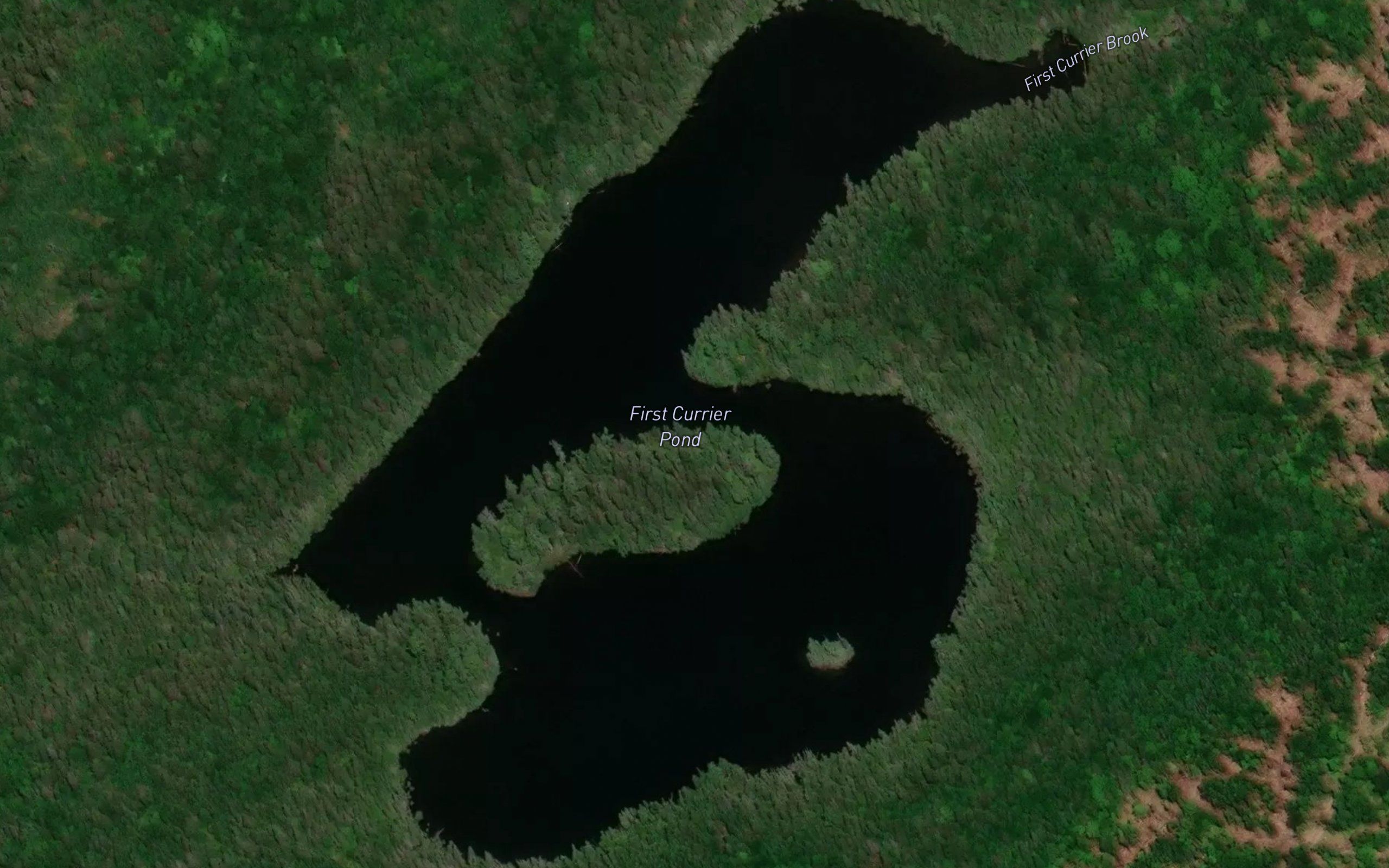 First Currier Pond