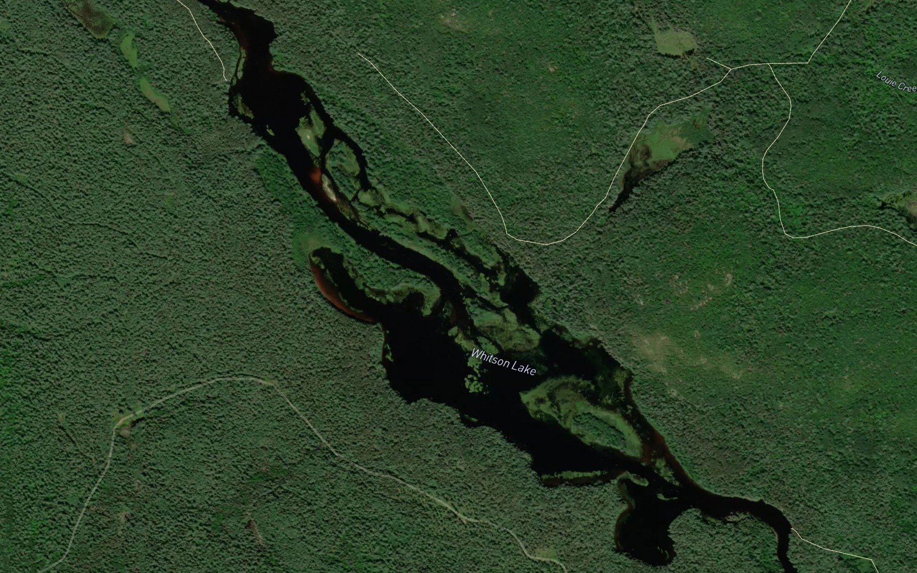 Satellite map of the Whitson Lake