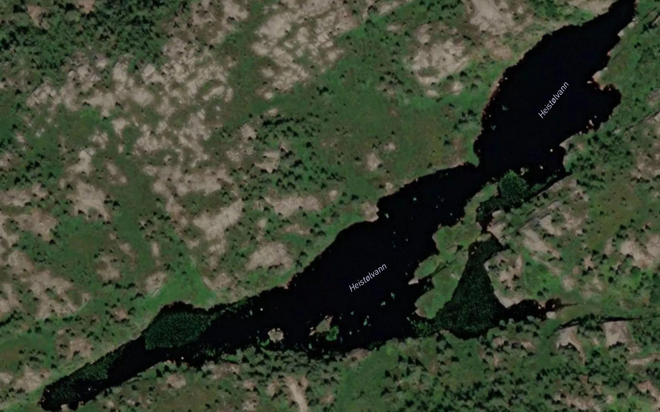 Heistolvann