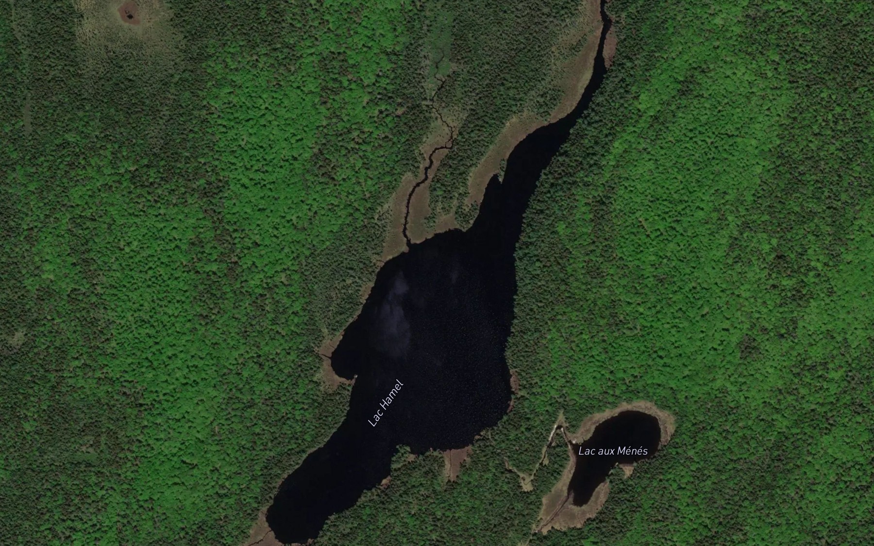 Satellite map of the Lac Hamel