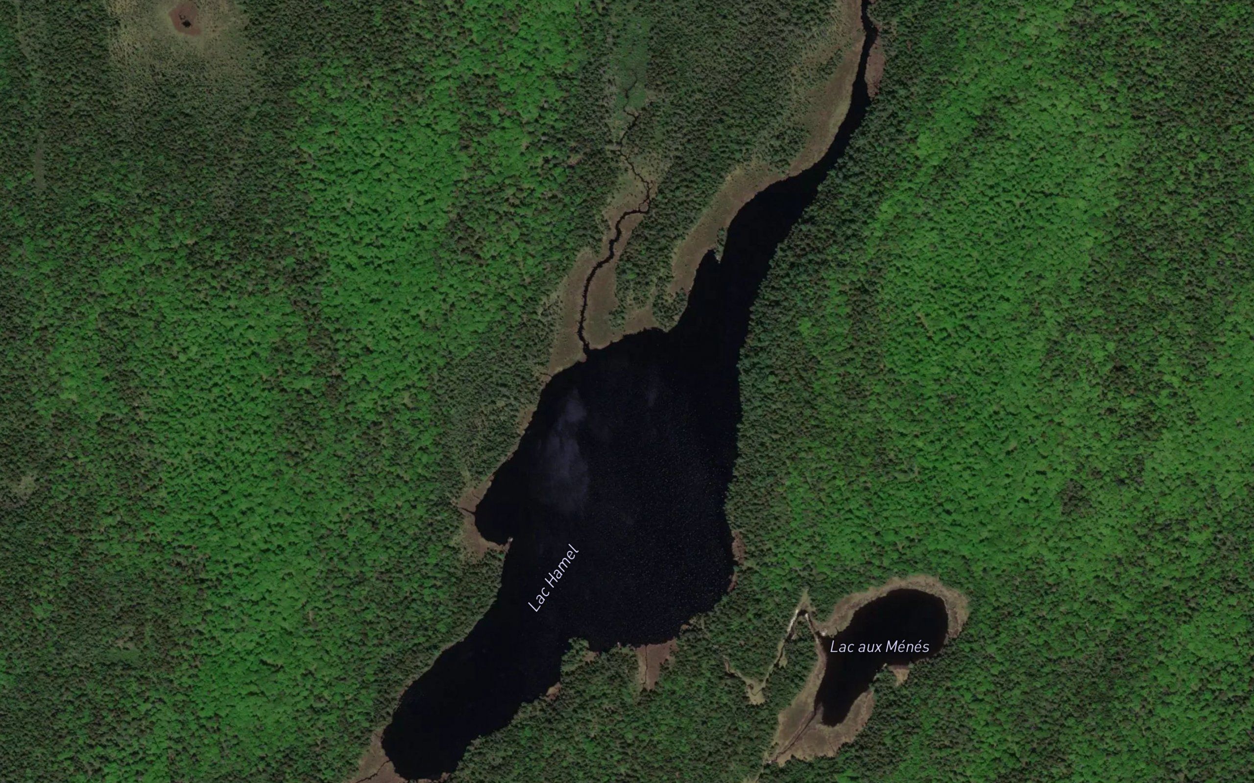 Lac Hamel