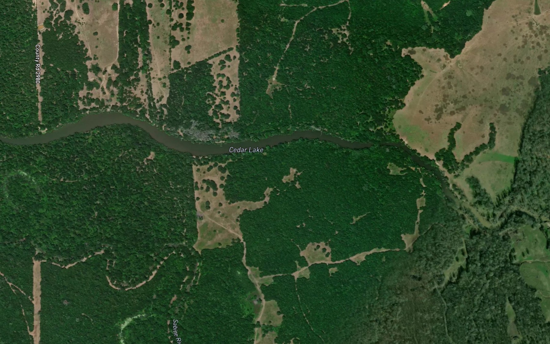 Satellite map of the Cedar Lake