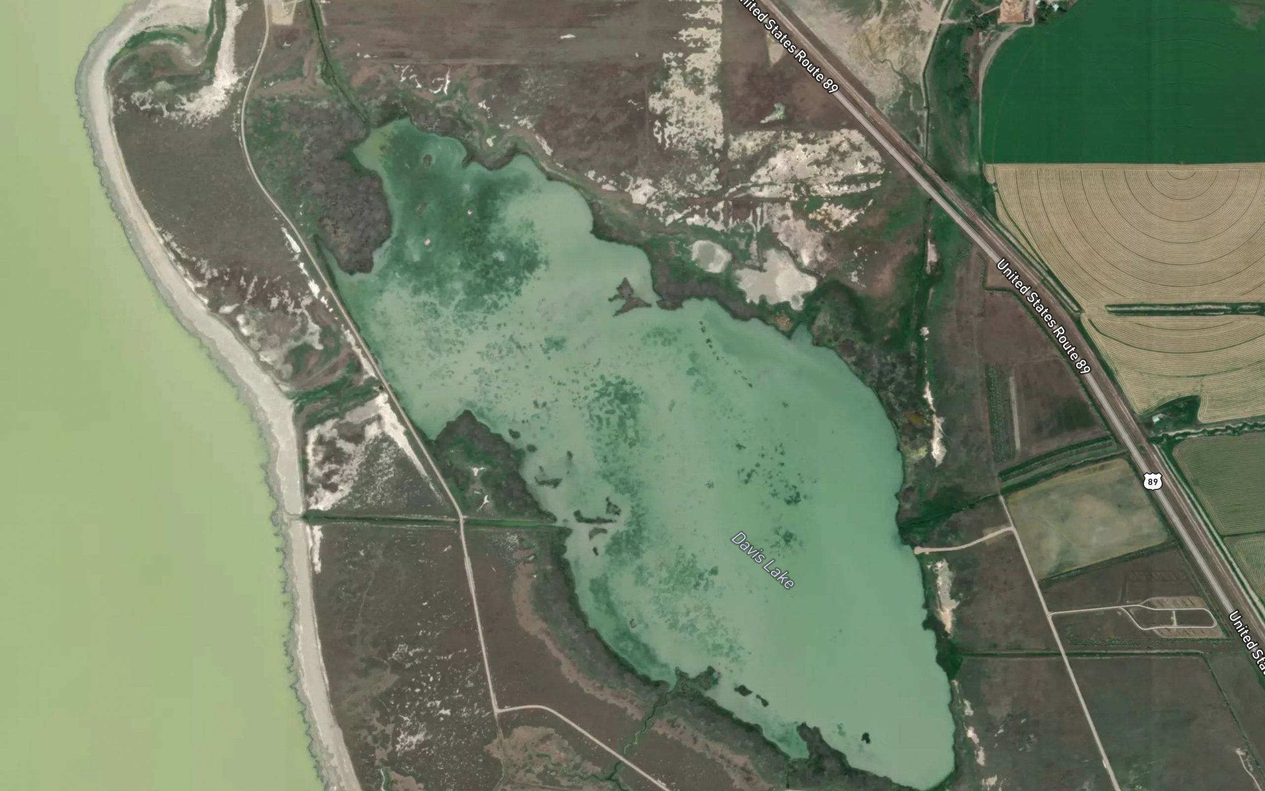 Davis Lake