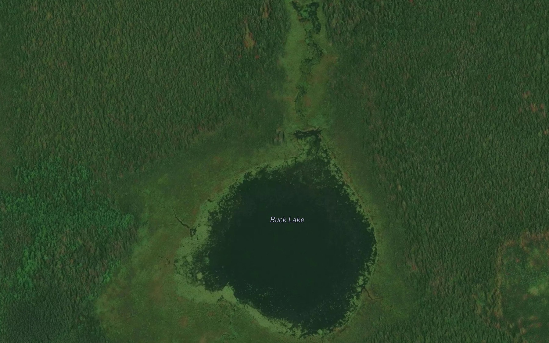 Satellite map of the Buck Lake