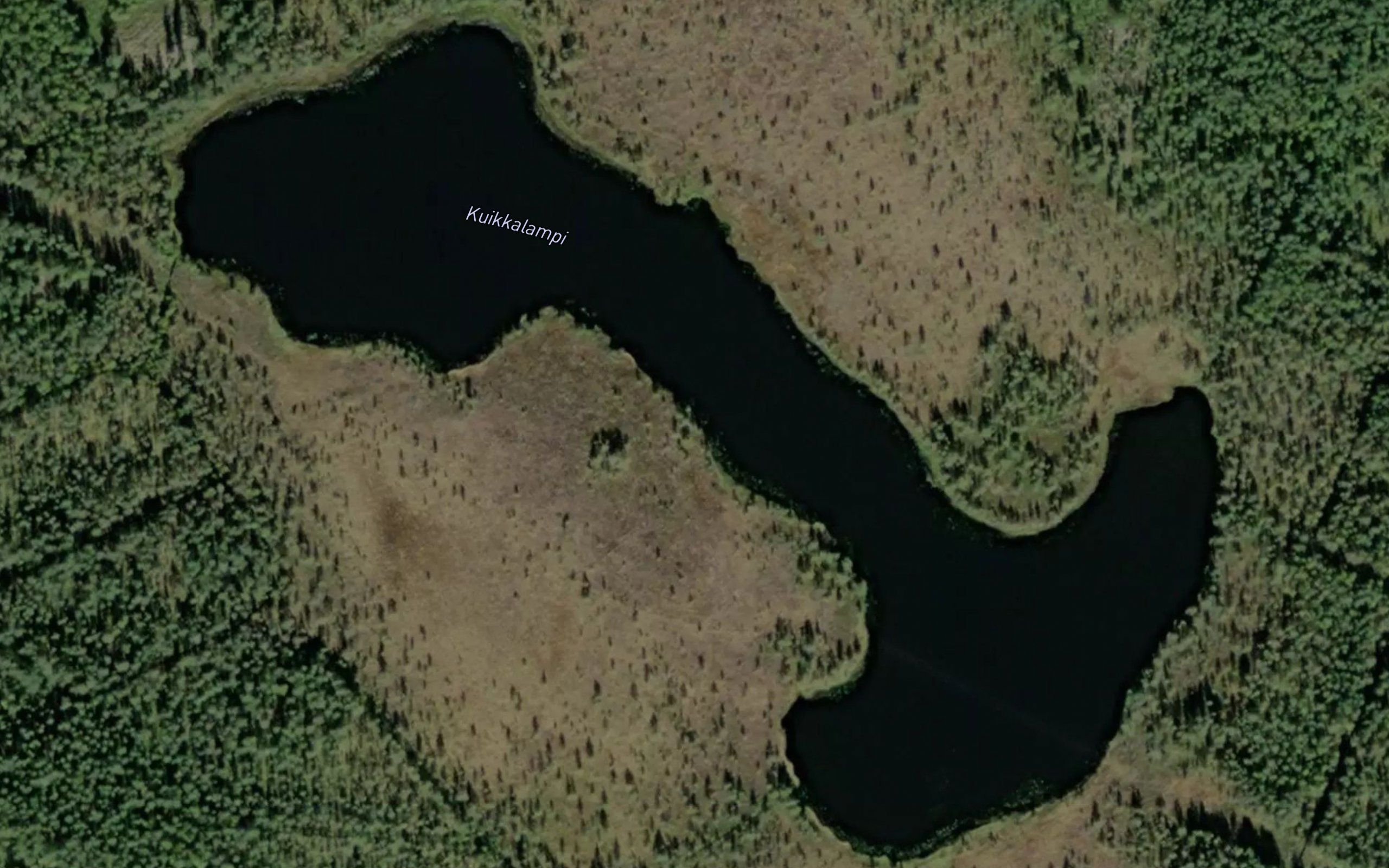 Kuikkalampi