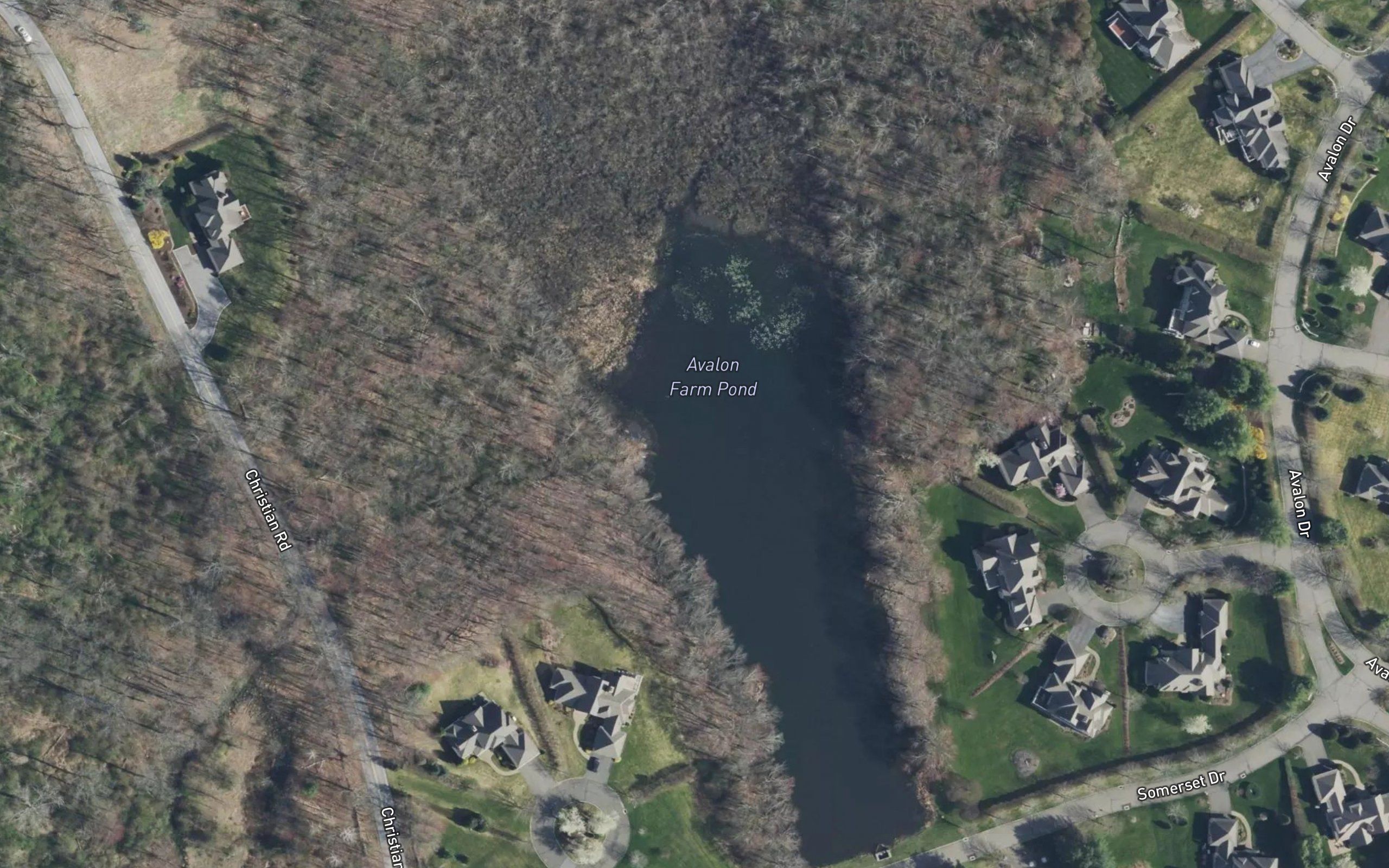 Avalon Farm Pond