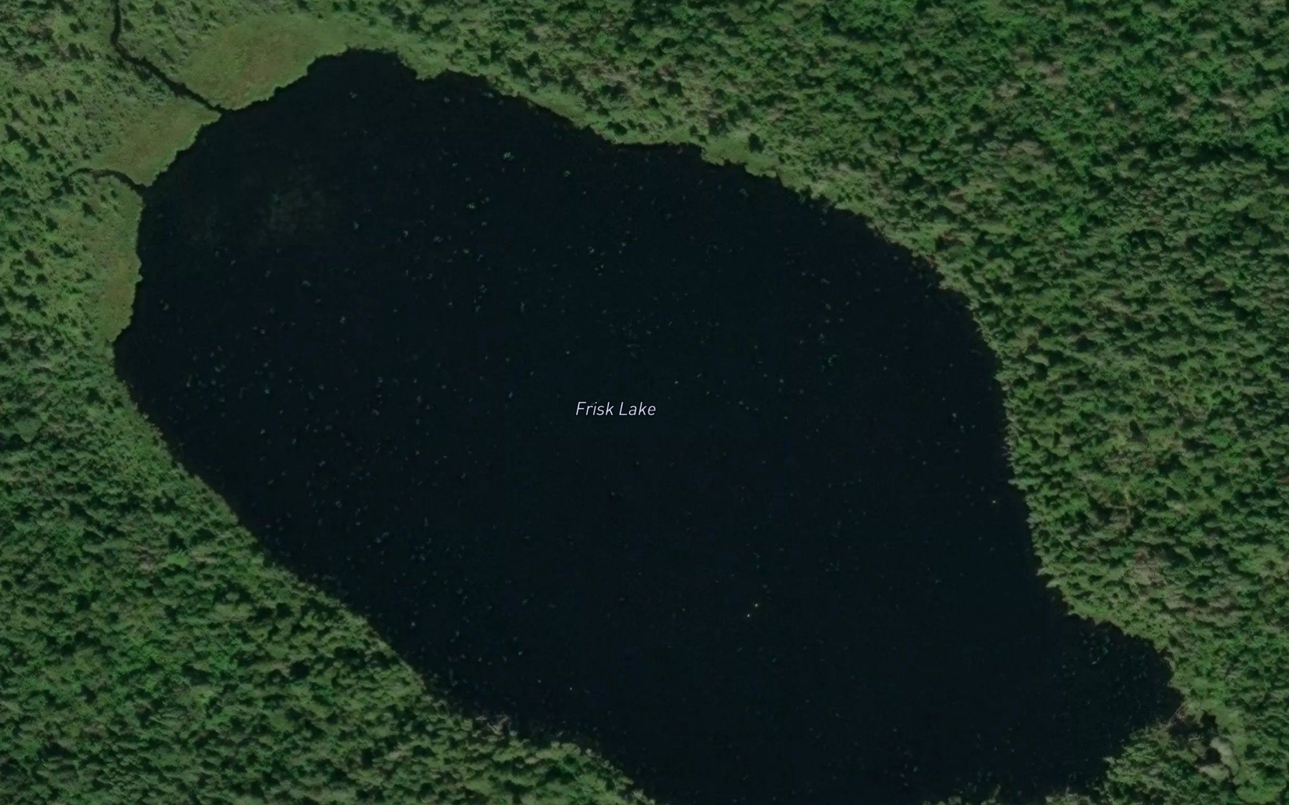 Frisk Lake