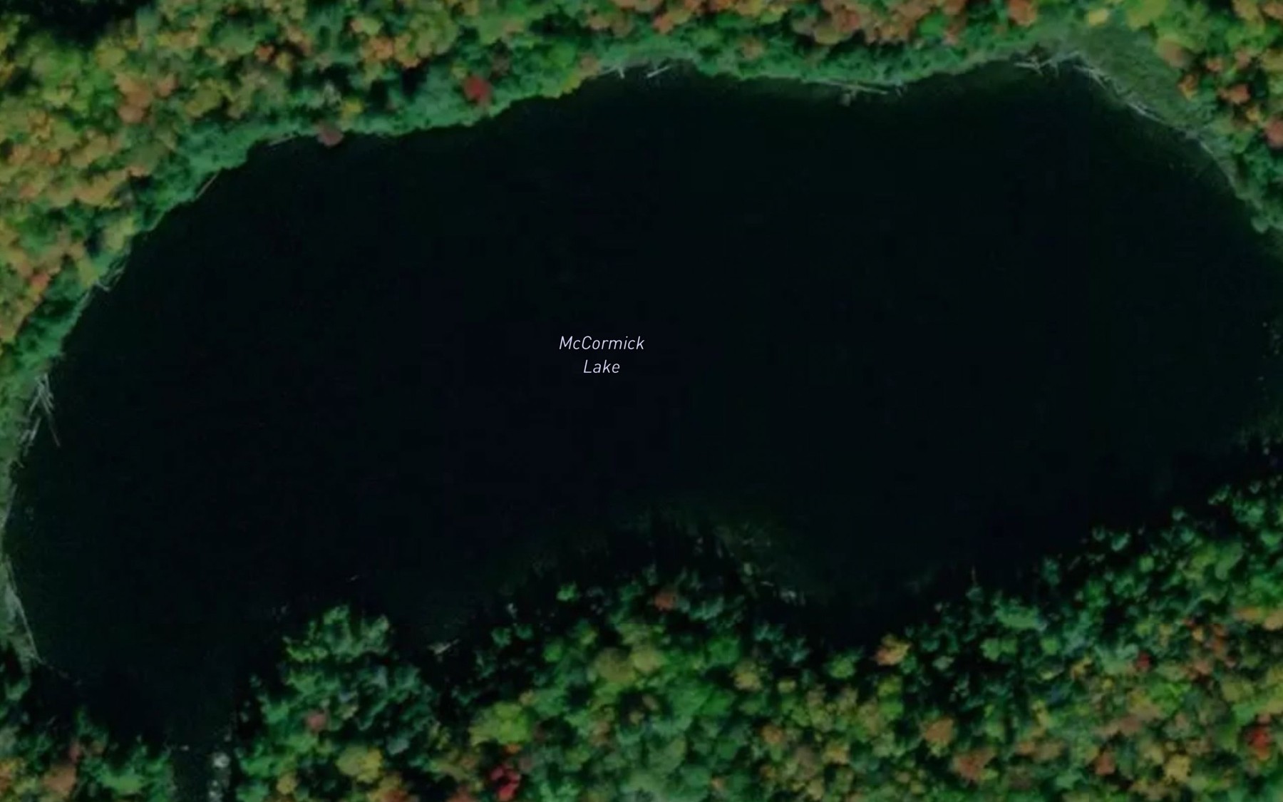 Satellite map of the McCormick Lake